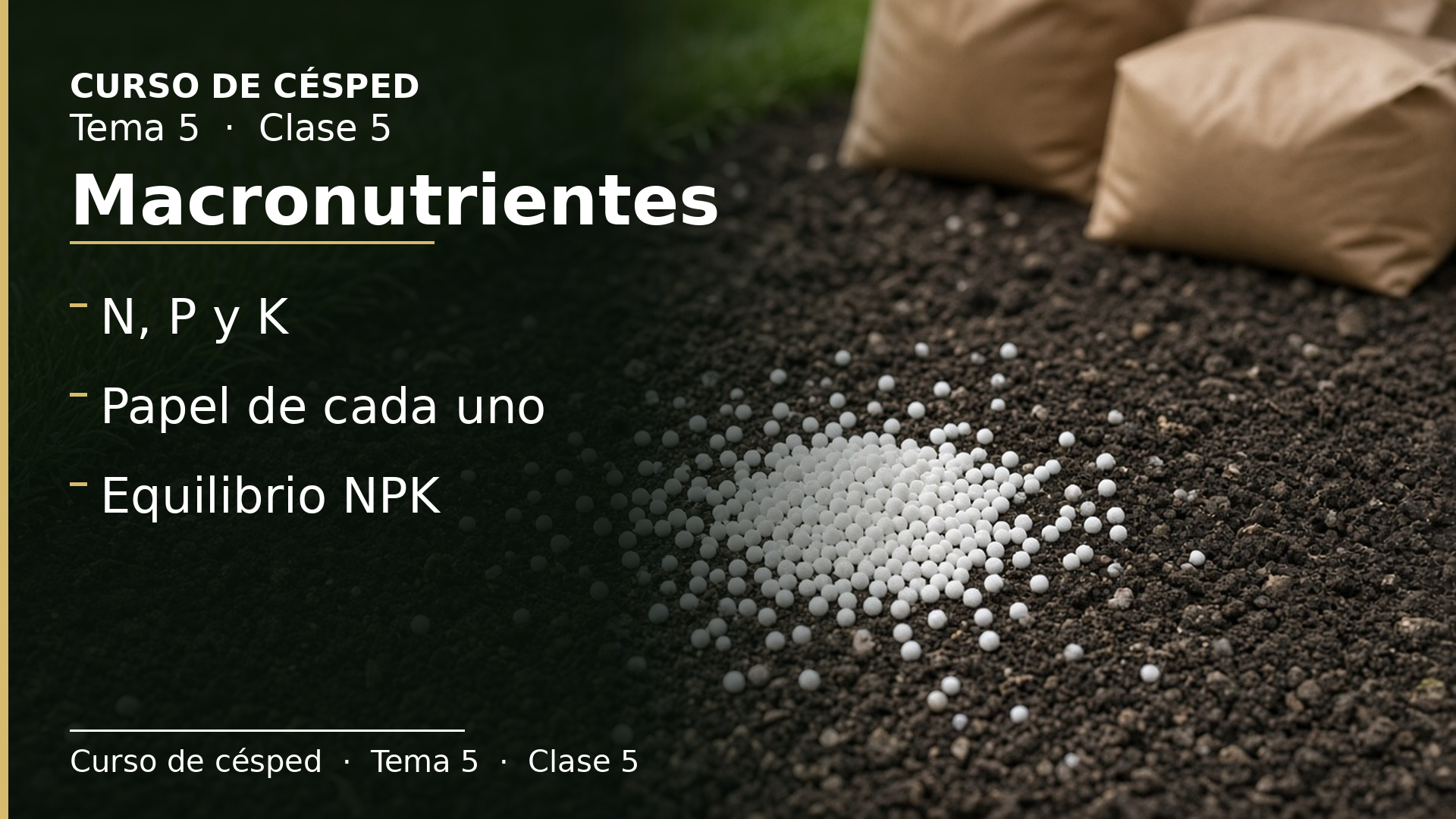 Diapositiva de la clase 5: Macronutrientes