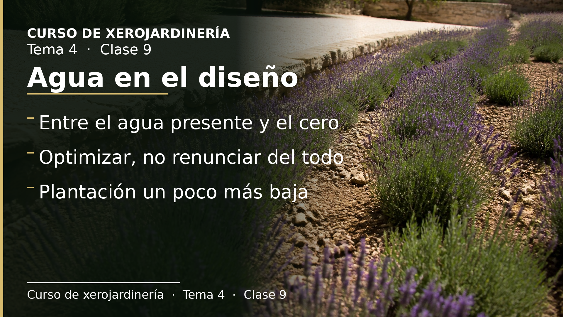 Diapositiva de la clase 9: Agua en el diseño