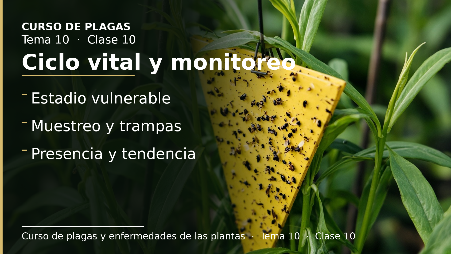 Diapositiva de la clase 10: Ciclo vital y monitoreo en GIP