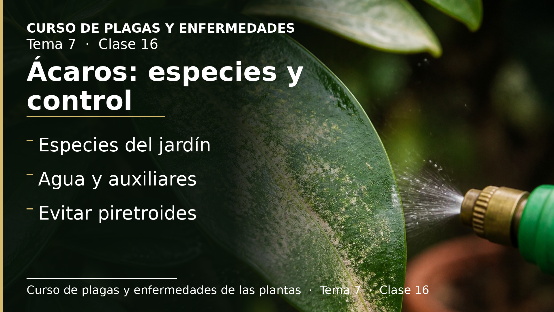 Diapositiva de la clase 16: Ácaros: especies y control
