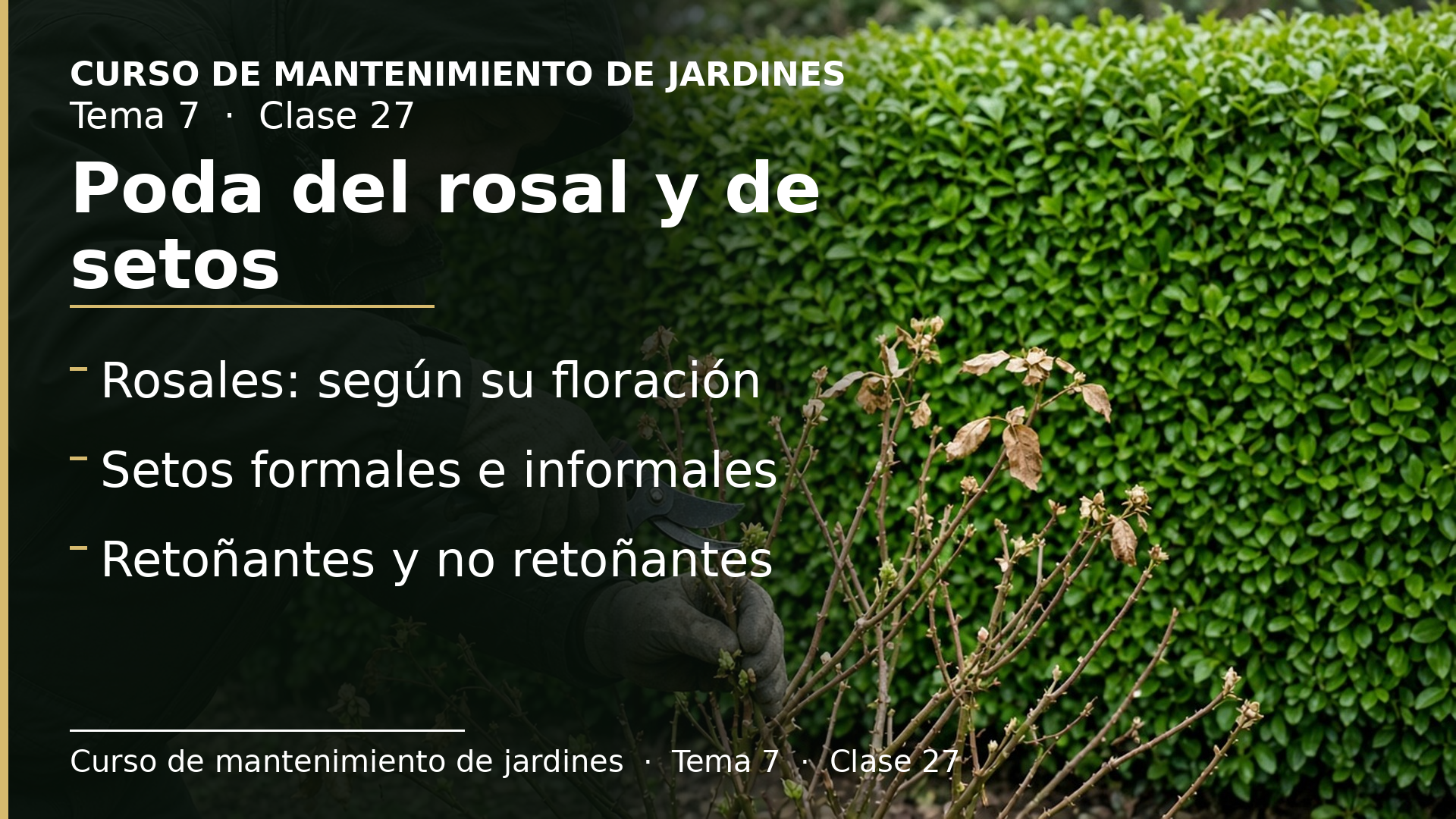 Diapositiva de la clase 27: Poda del rosal y recorte de setos