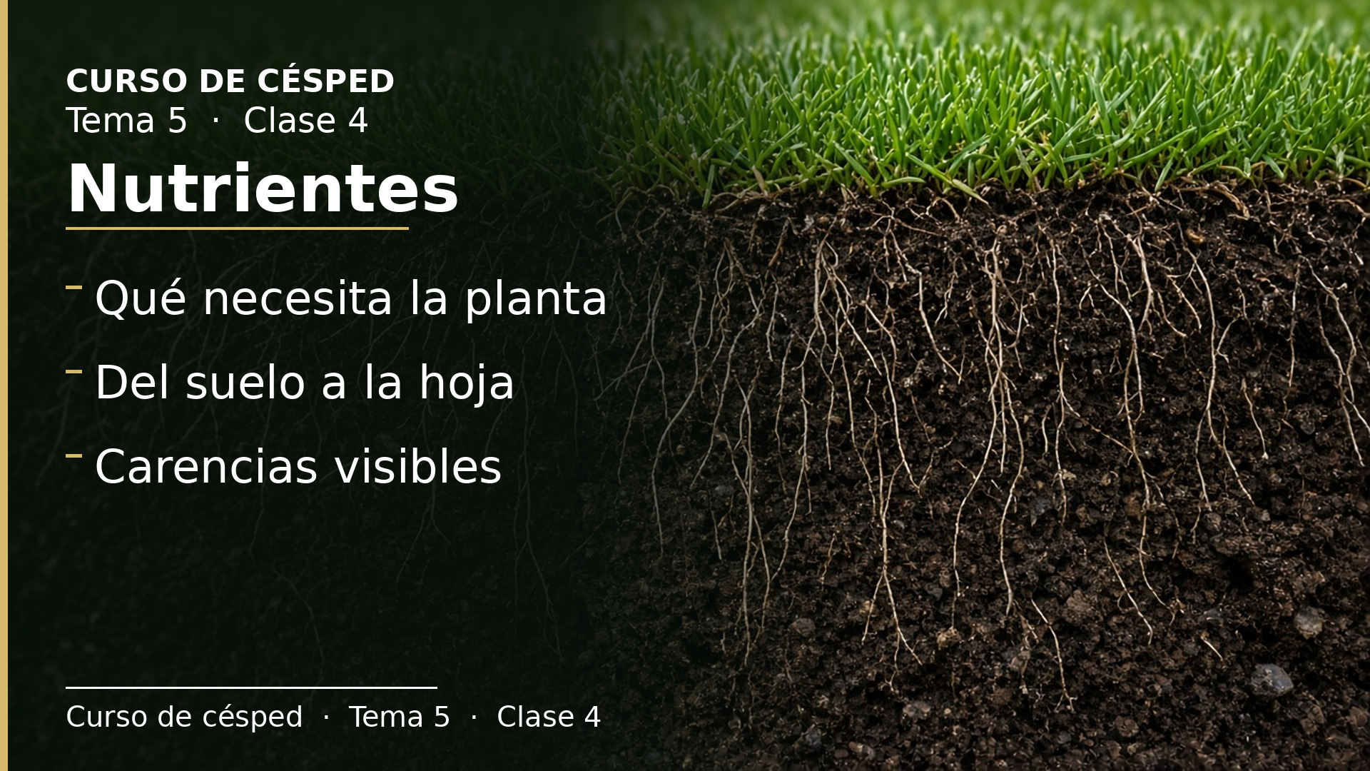 Diapositiva de la clase 4: Nutrientes