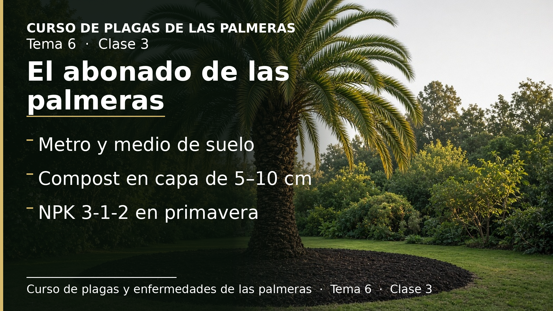 Diapositiva de la clase 3: El abonado de las palmeras