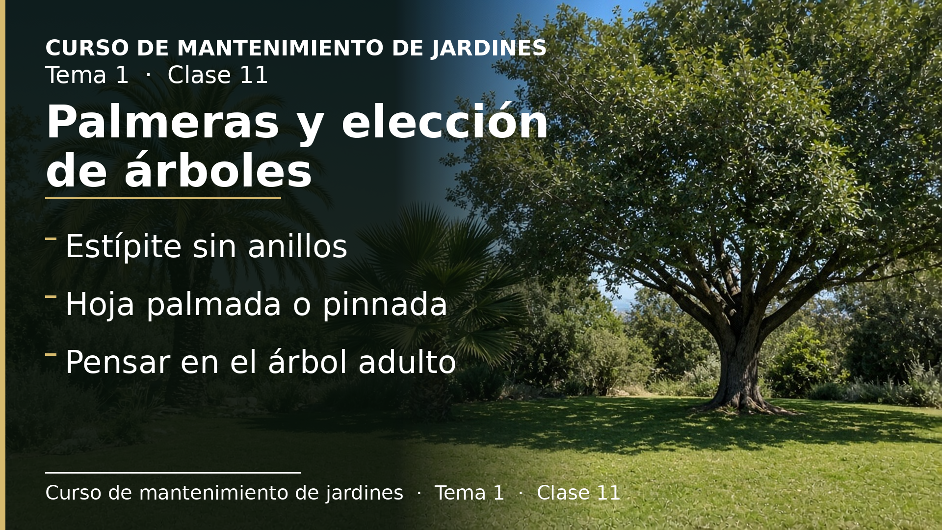 Diapositiva de la clase 11: Las palmeras y cómo elegir los árboles del jardín