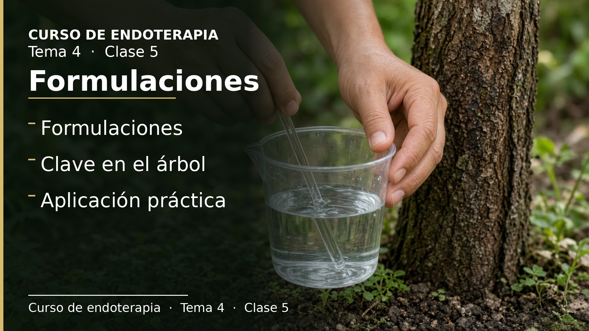 Diapositiva de la clase 5: Formulaciones