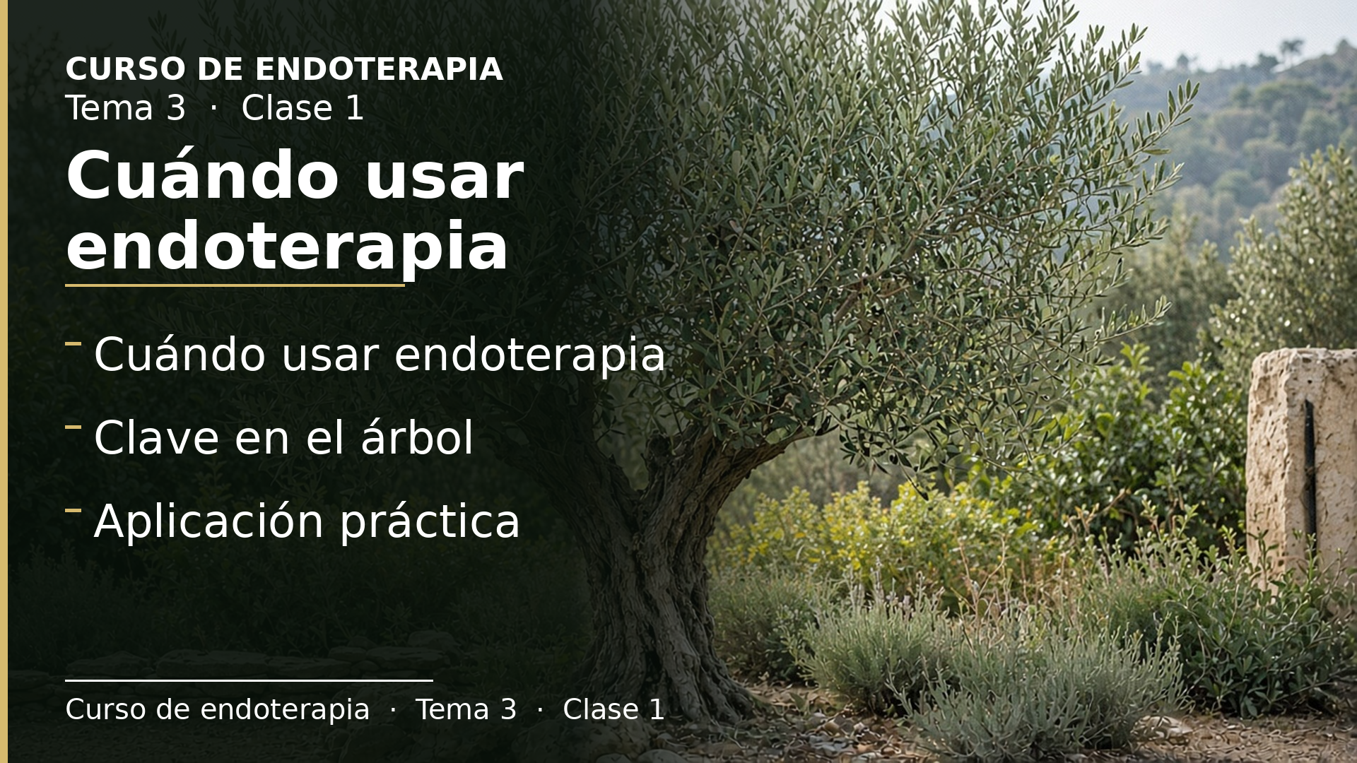 Diapositiva de la clase 1: Cuándo usar endoterapia