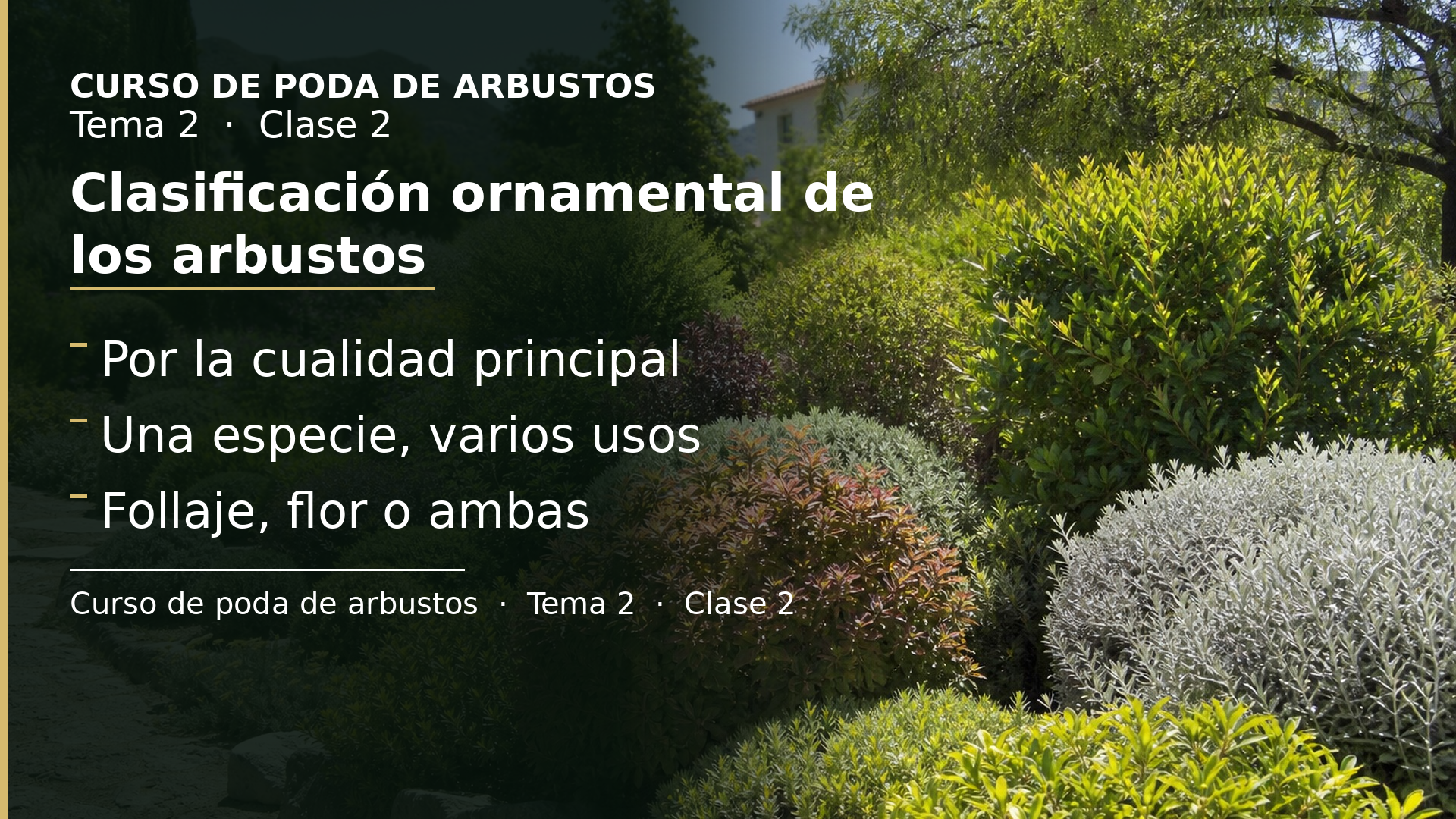 Diapositiva de la clase 2: Clasificación ornamental de los arbustos