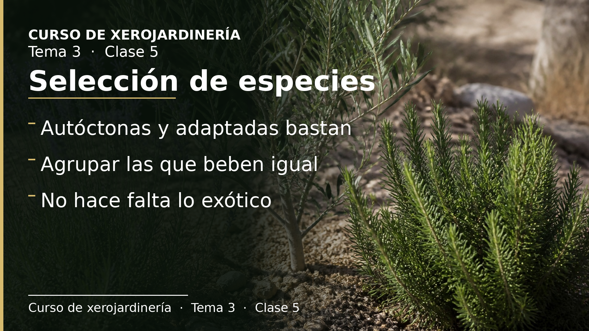 Diapositiva de la clase 5: Selección de especies