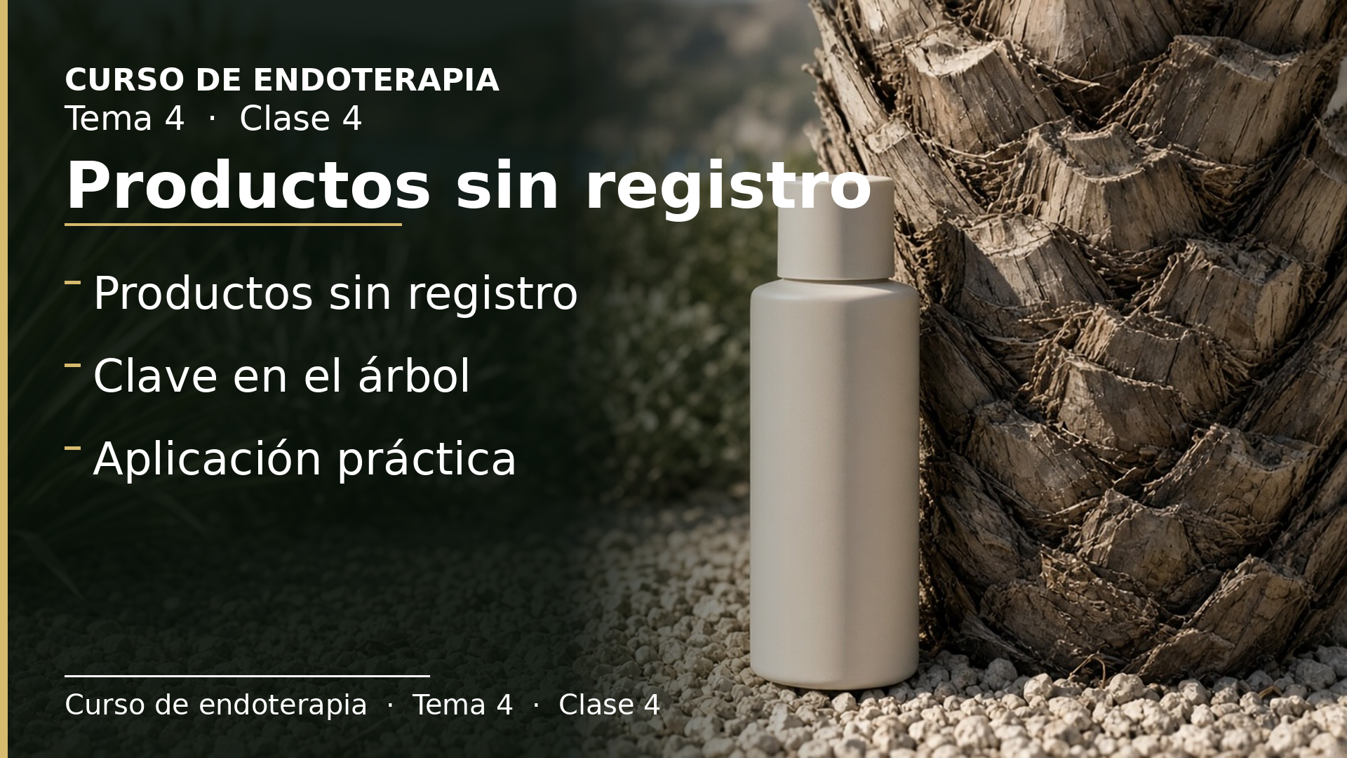 Diapositiva de la clase 4: Productos sin registro