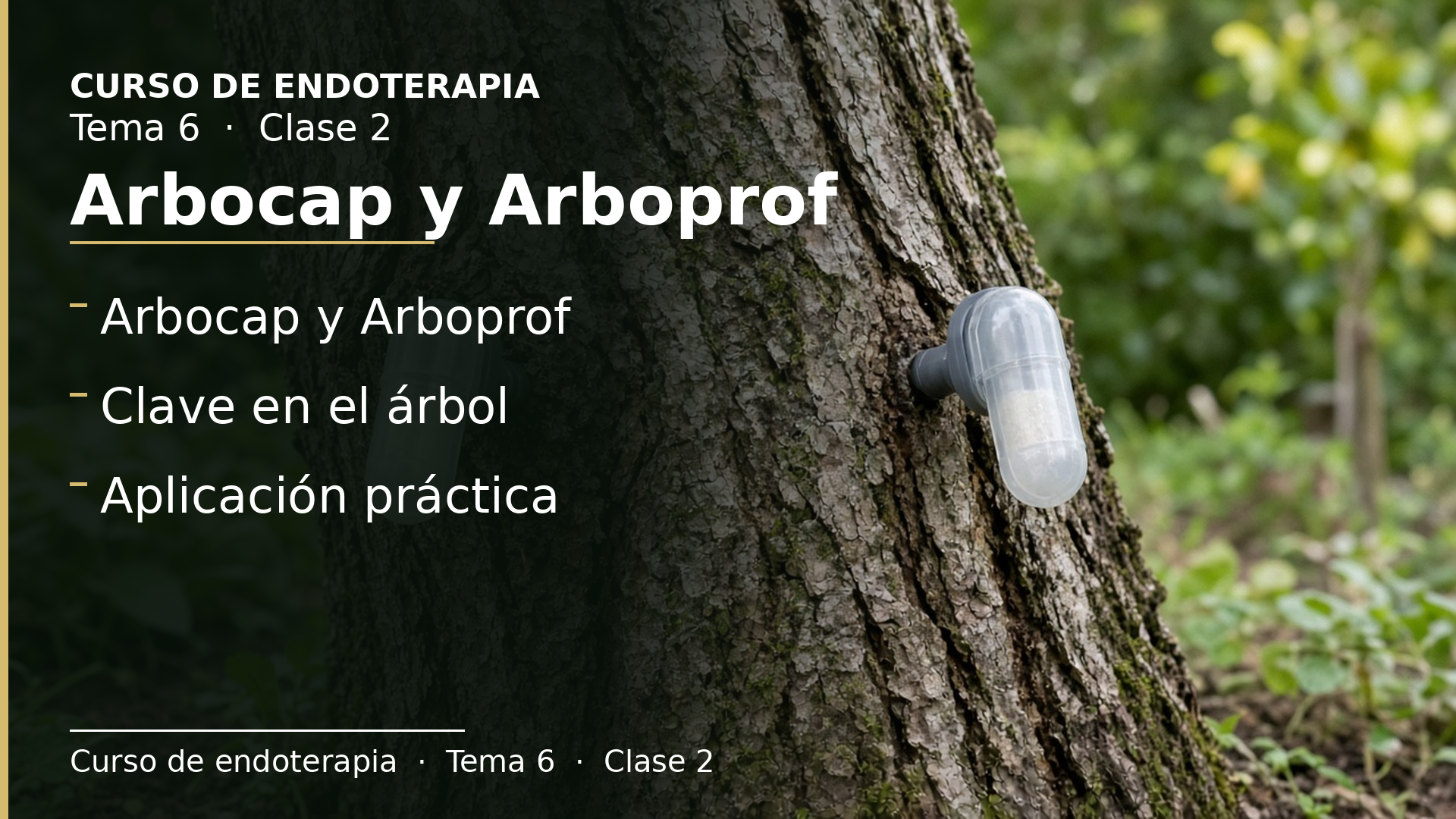 Diapositiva de la clase 2: Arbocap y Arboprof