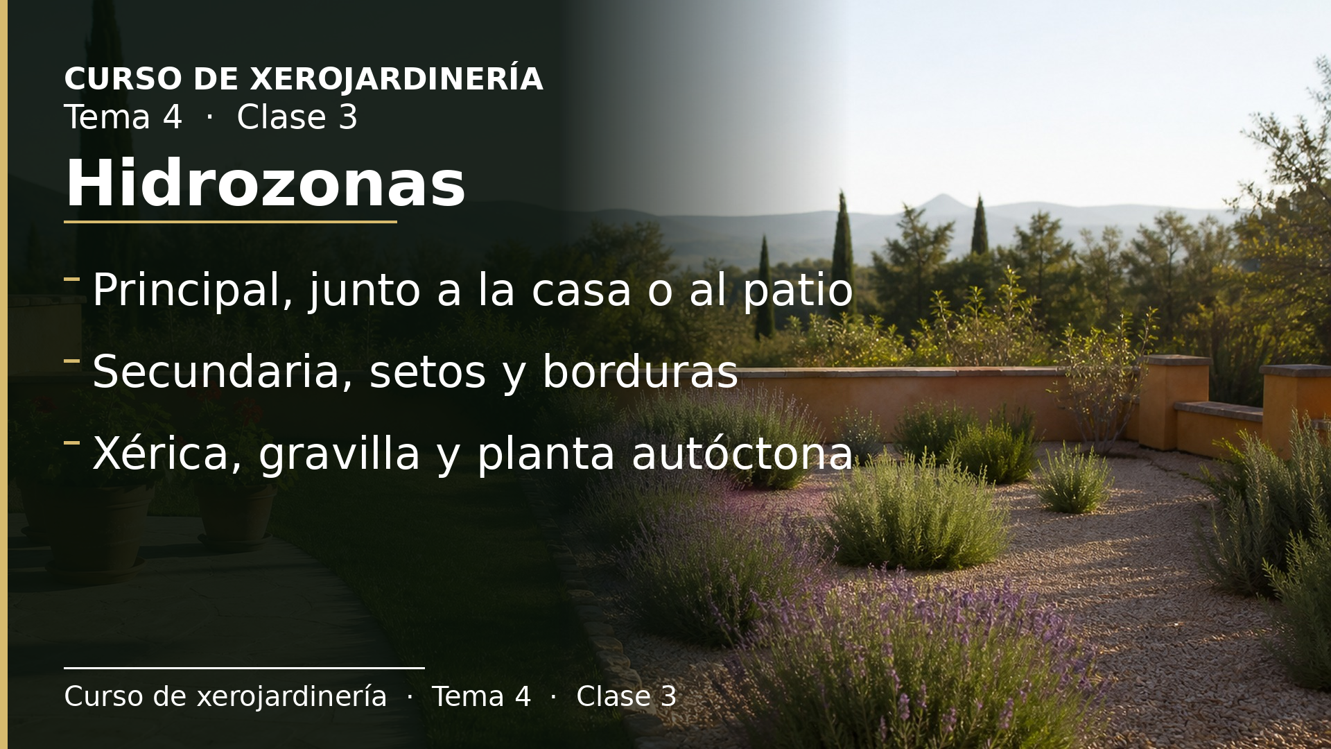 Diapositiva de la clase 3: Hidrozonas