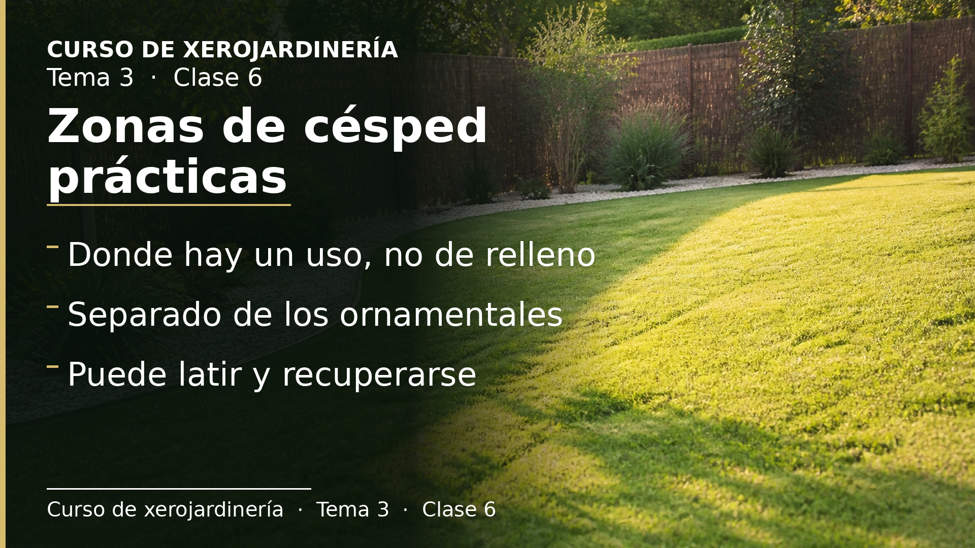 Diapositiva de la clase 6: Zonas de césped prácticas