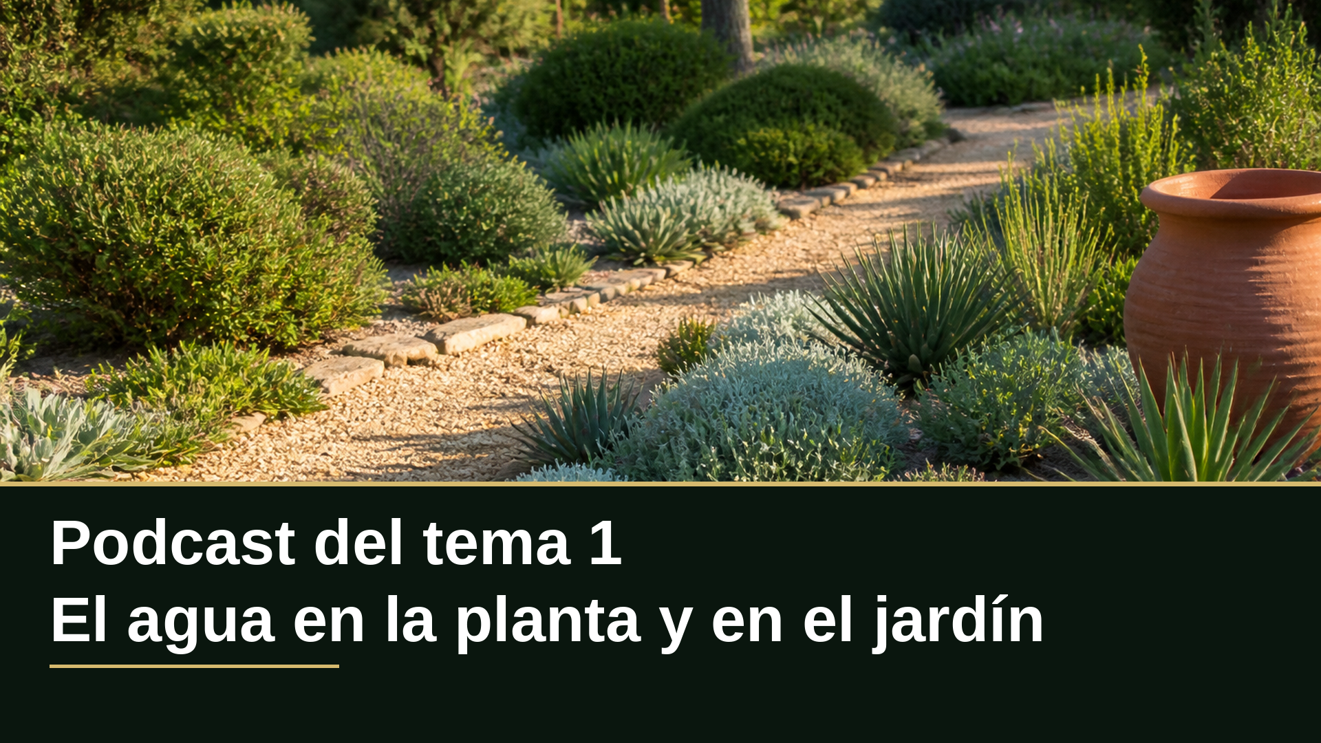 Diapositiva del resumen: Podcast del tema 1 · El agua en la planta y en el jardín