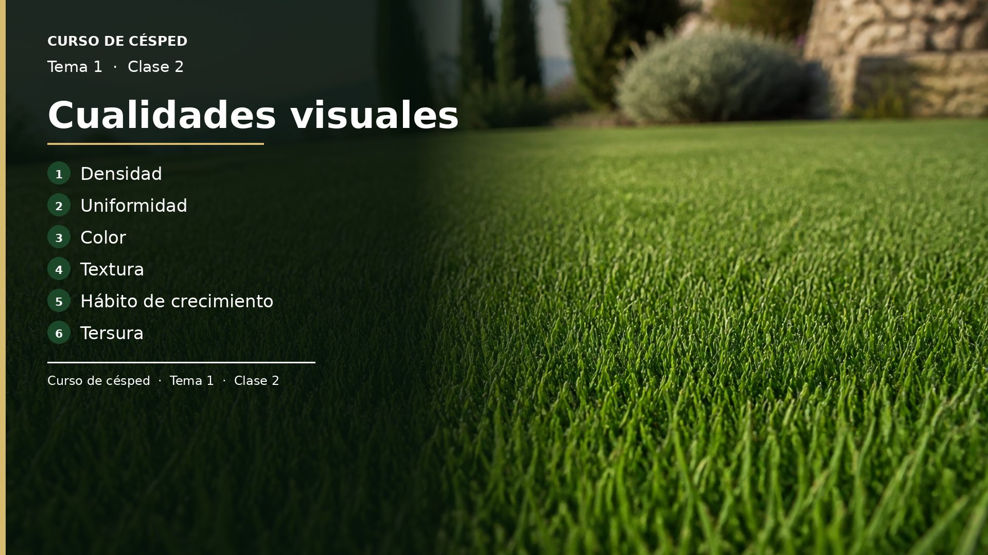 Diapositiva de la clase 2: Cualidades visuales