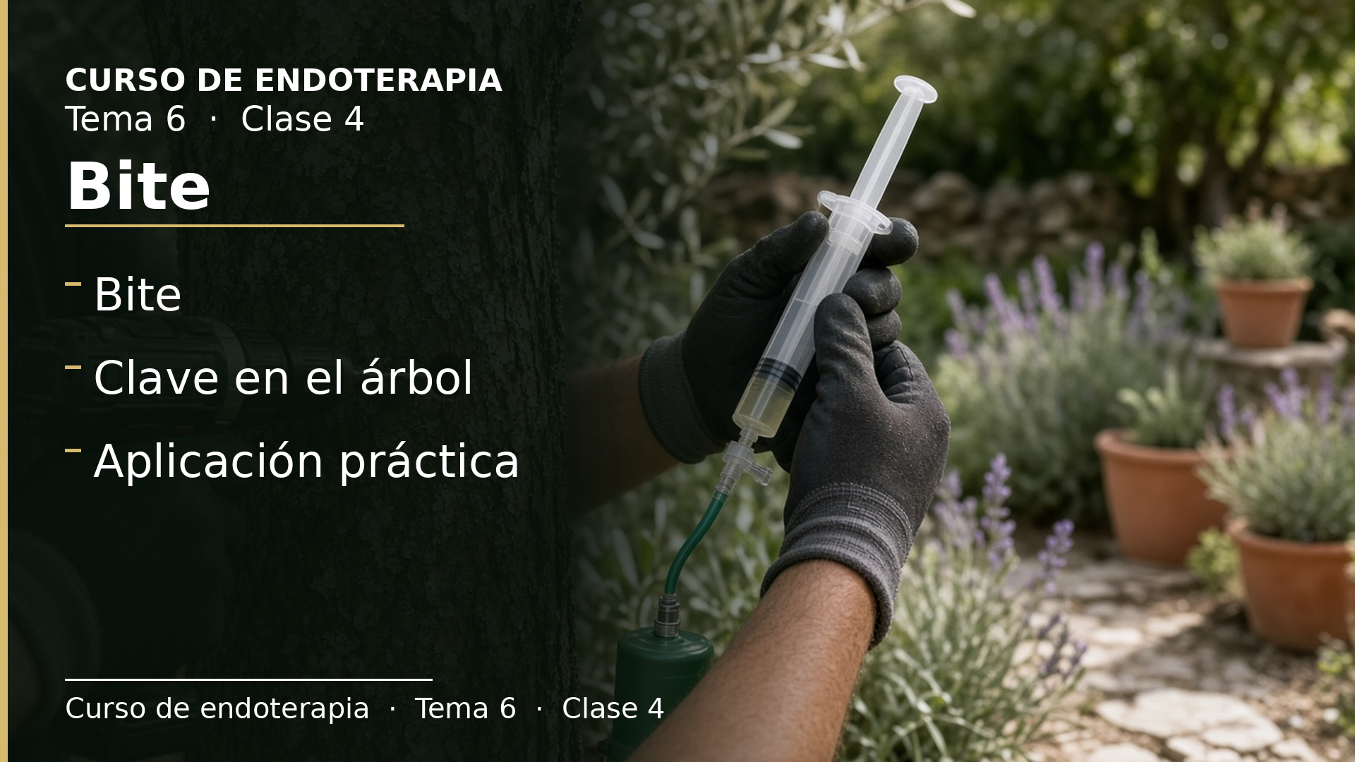 Diapositiva de la clase 4: Bite