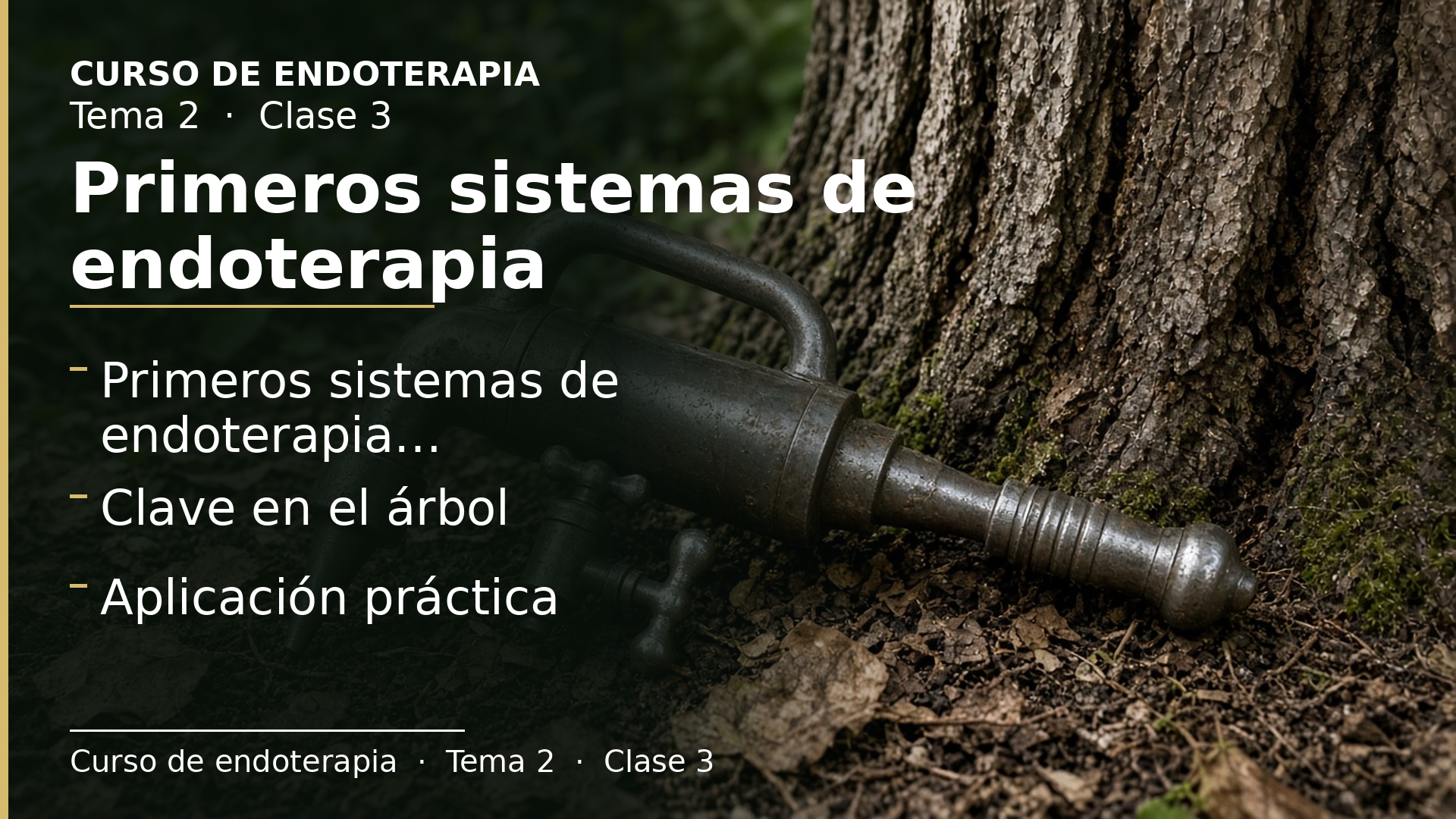 Diapositiva de la clase 3: Primeros sistemas de endoterapia