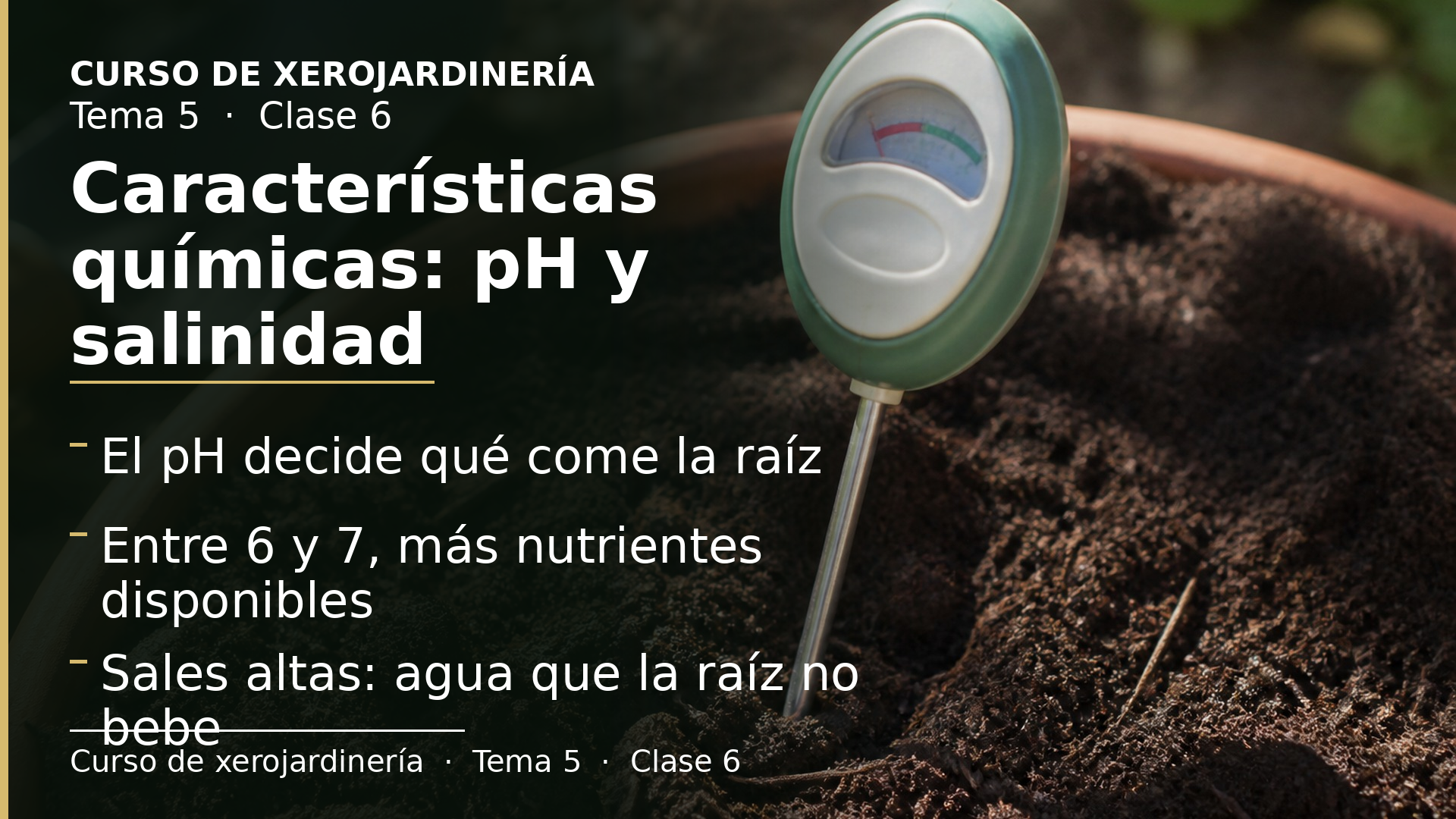 Diapositiva de la clase 6: Características químicas (pH y salinidad)
