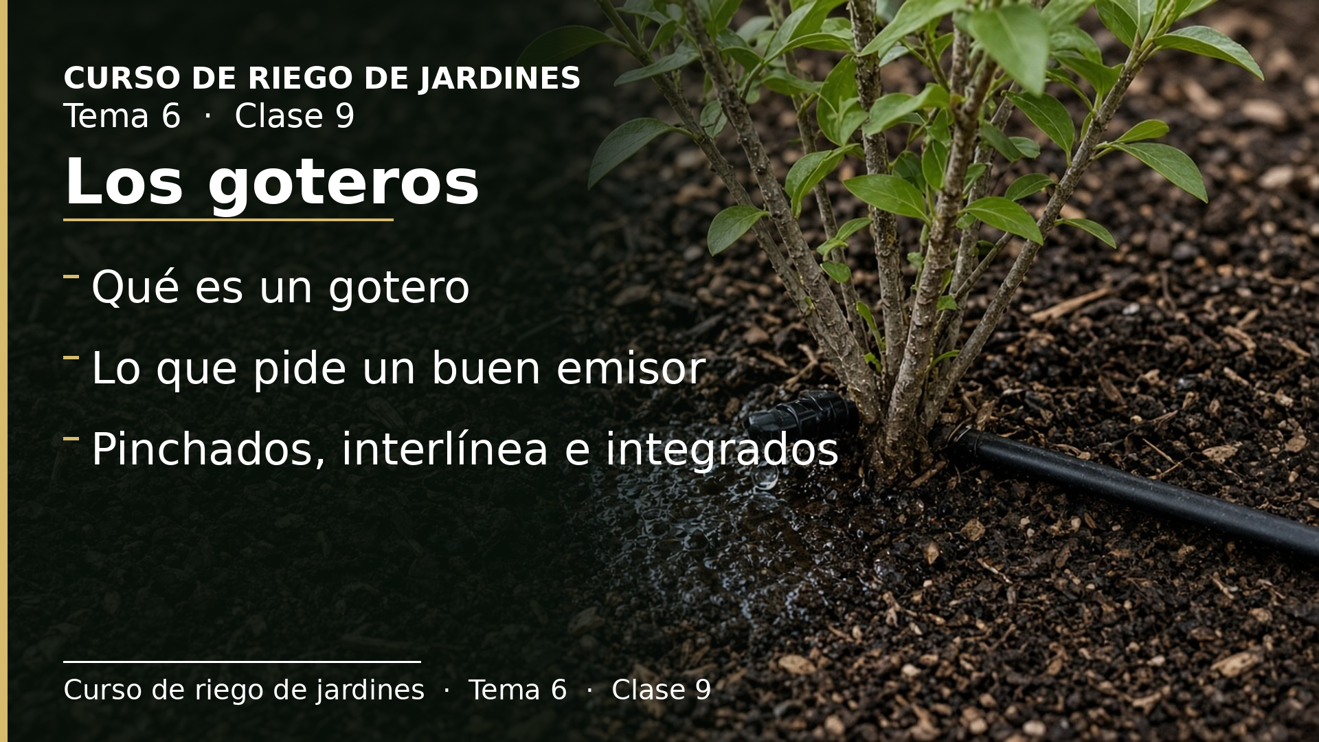 Diapositiva de la clase 9: Los goteros