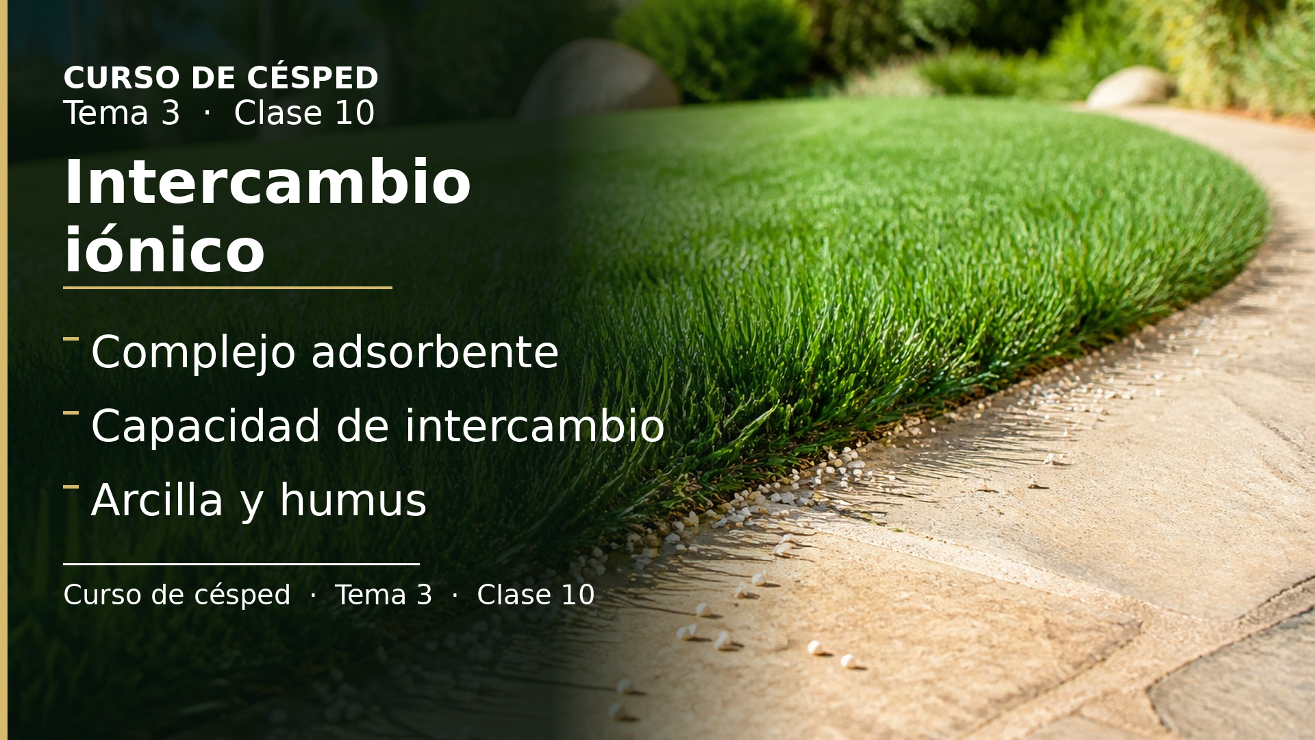 Diapositiva de la clase 10: Intercambio iónico