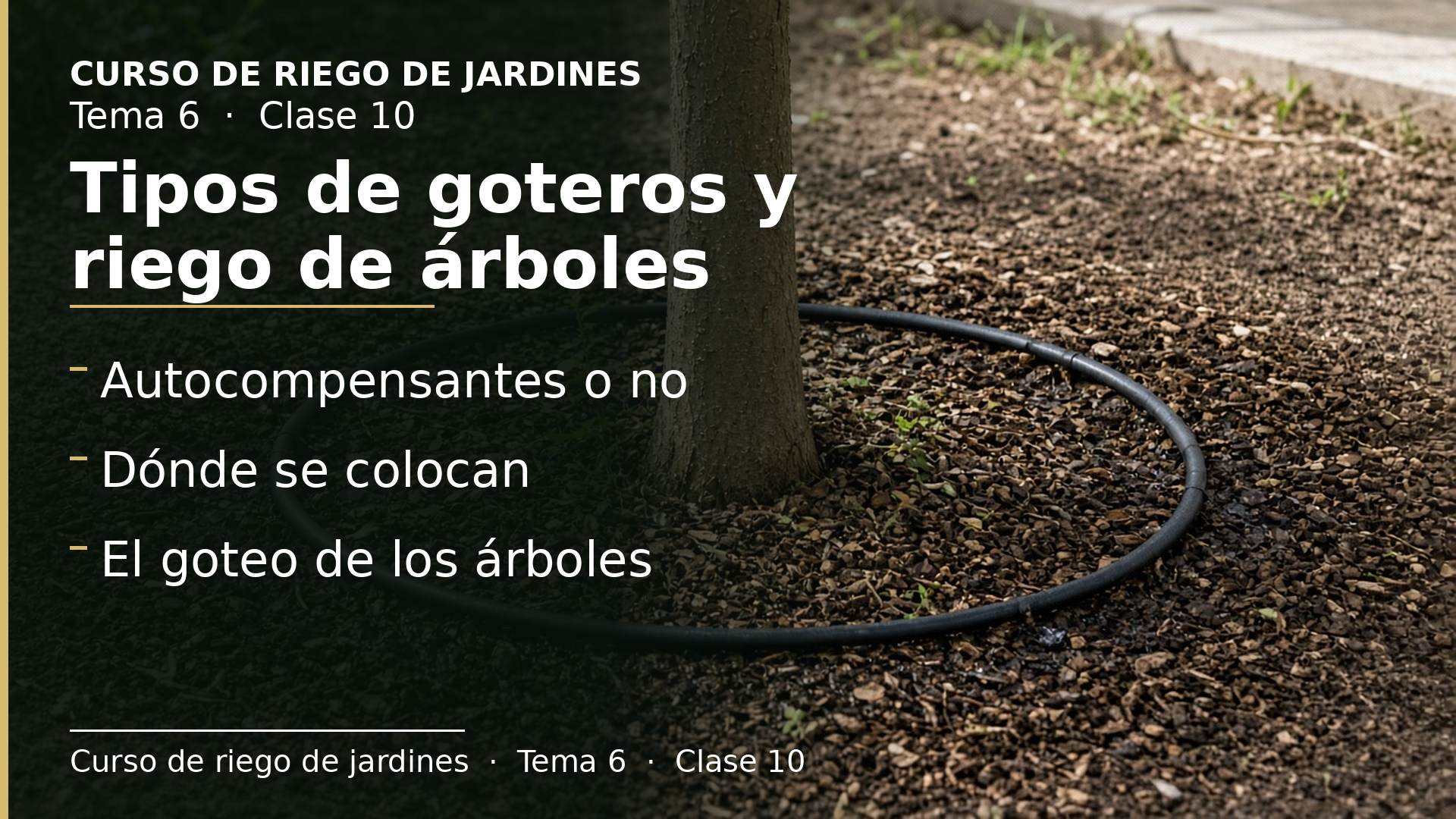 Diapositiva de la clase 10: Tipos de goteros y el riego de los árboles