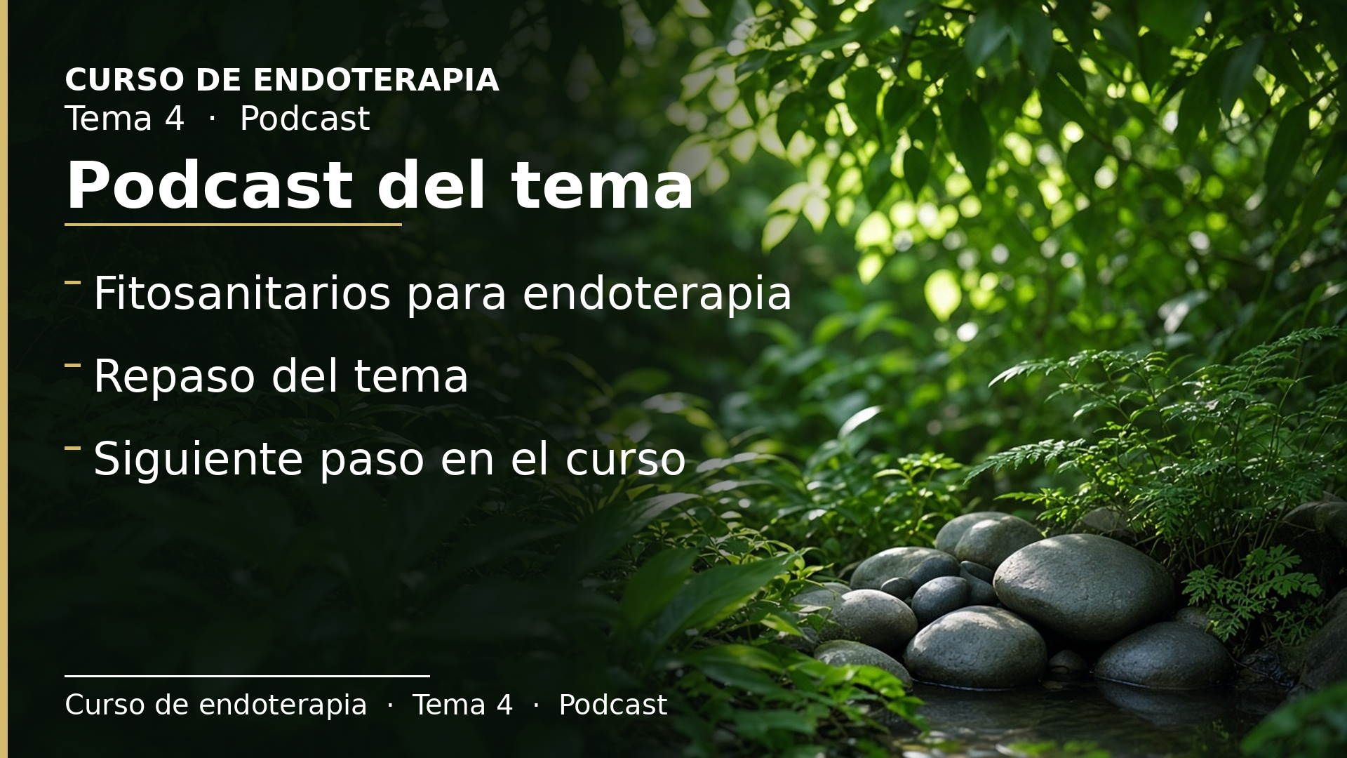 Diapositiva del resumen: Podcast del tema 4 · Fitosanitarios para endoterapia