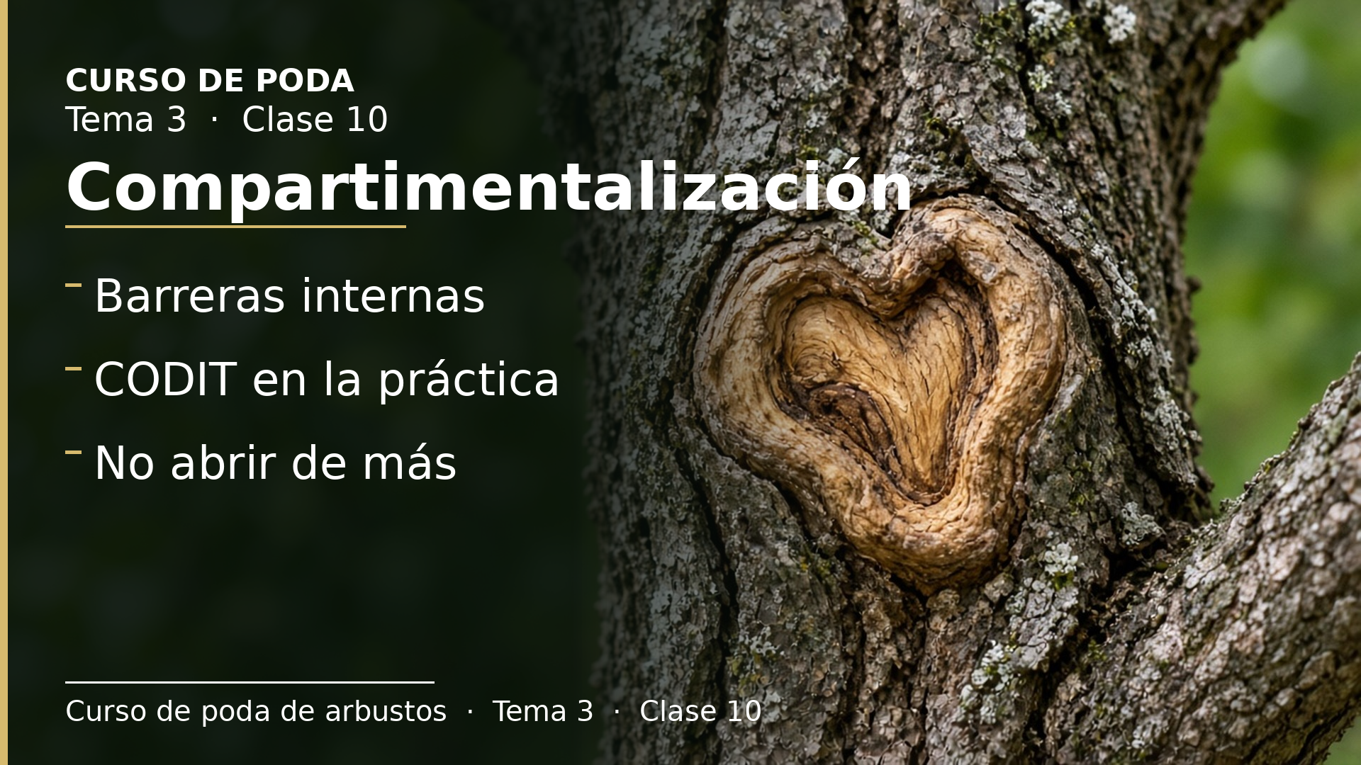 Diapositiva de la clase 10: Compartimentalización