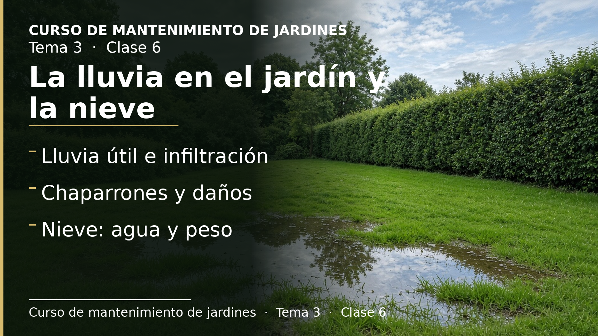 Diapositiva de la clase 6: La lluvia en el jardín y la nieve