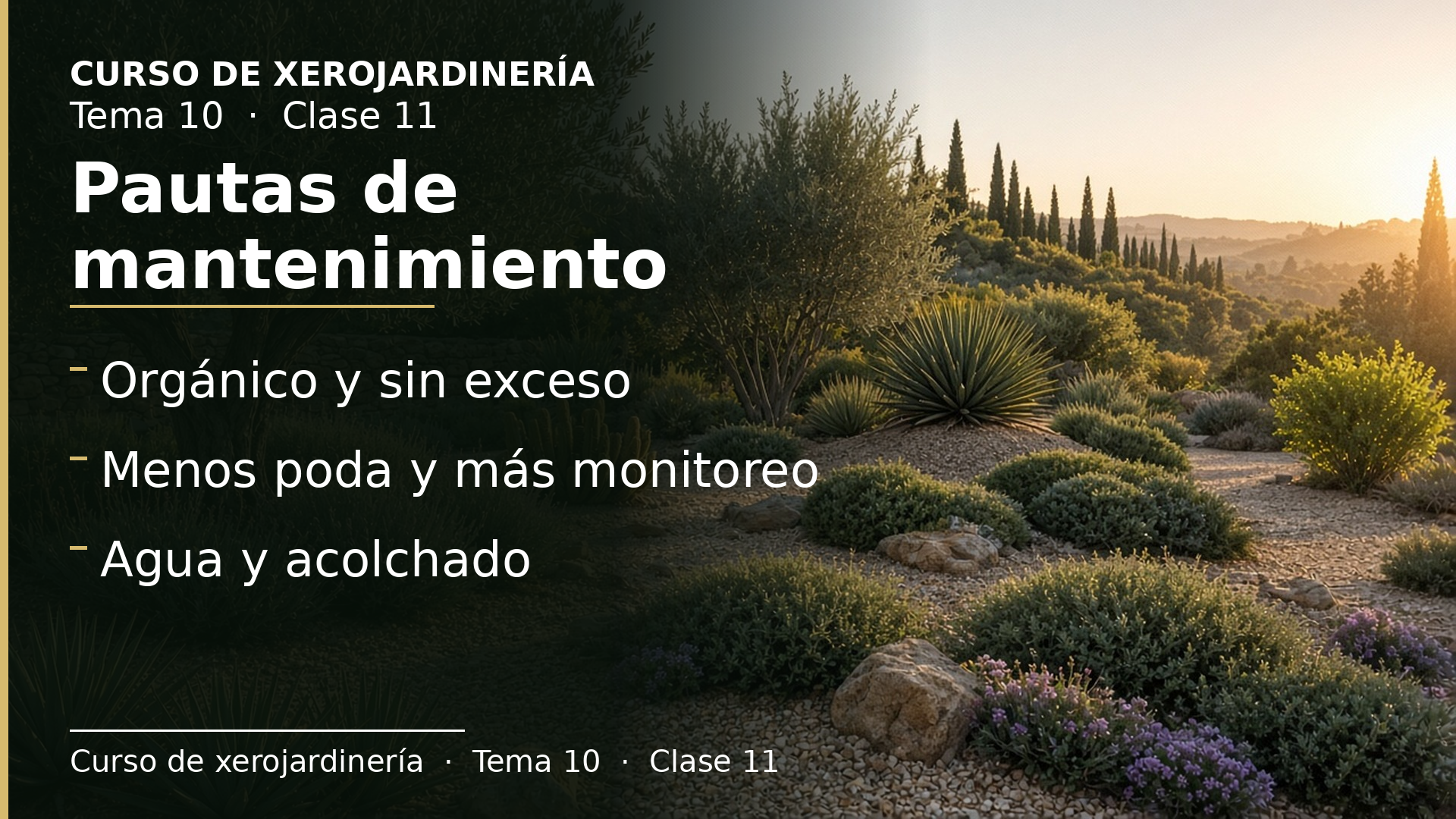 Diapositiva de la clase 11: Pautas para el mantenimiento del xerojardín