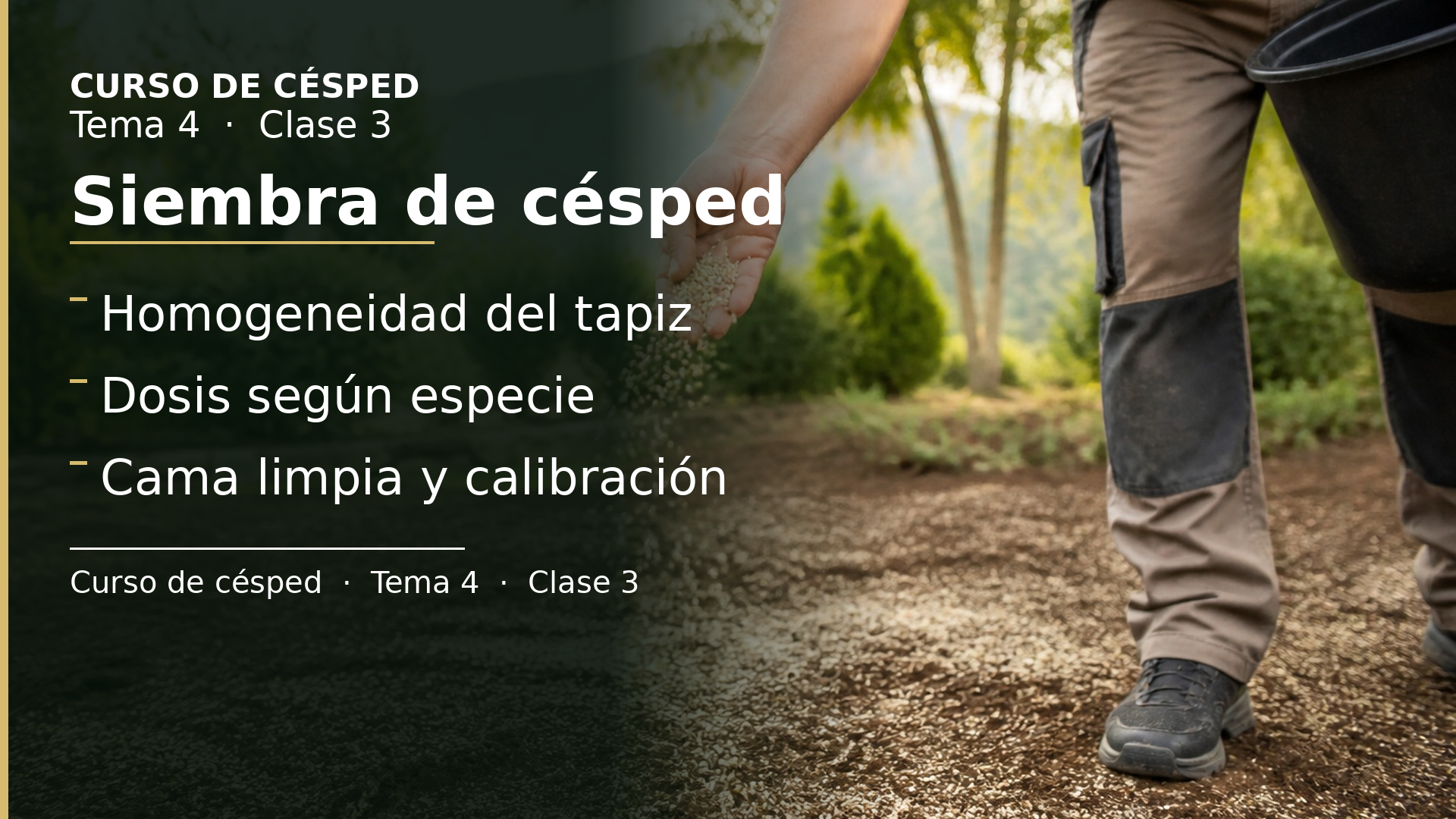 Diapositiva de la clase 3: Siembra de césped