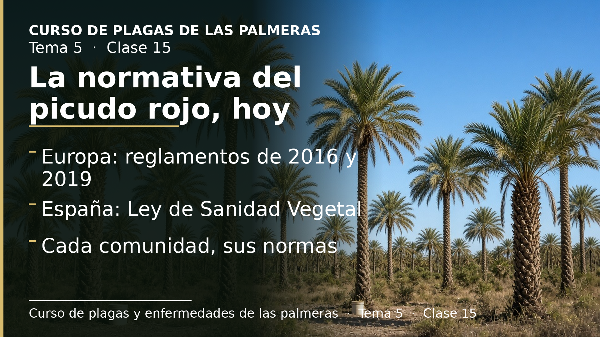 Diapositiva de la clase 15: La normativa del picudo rojo, hoy