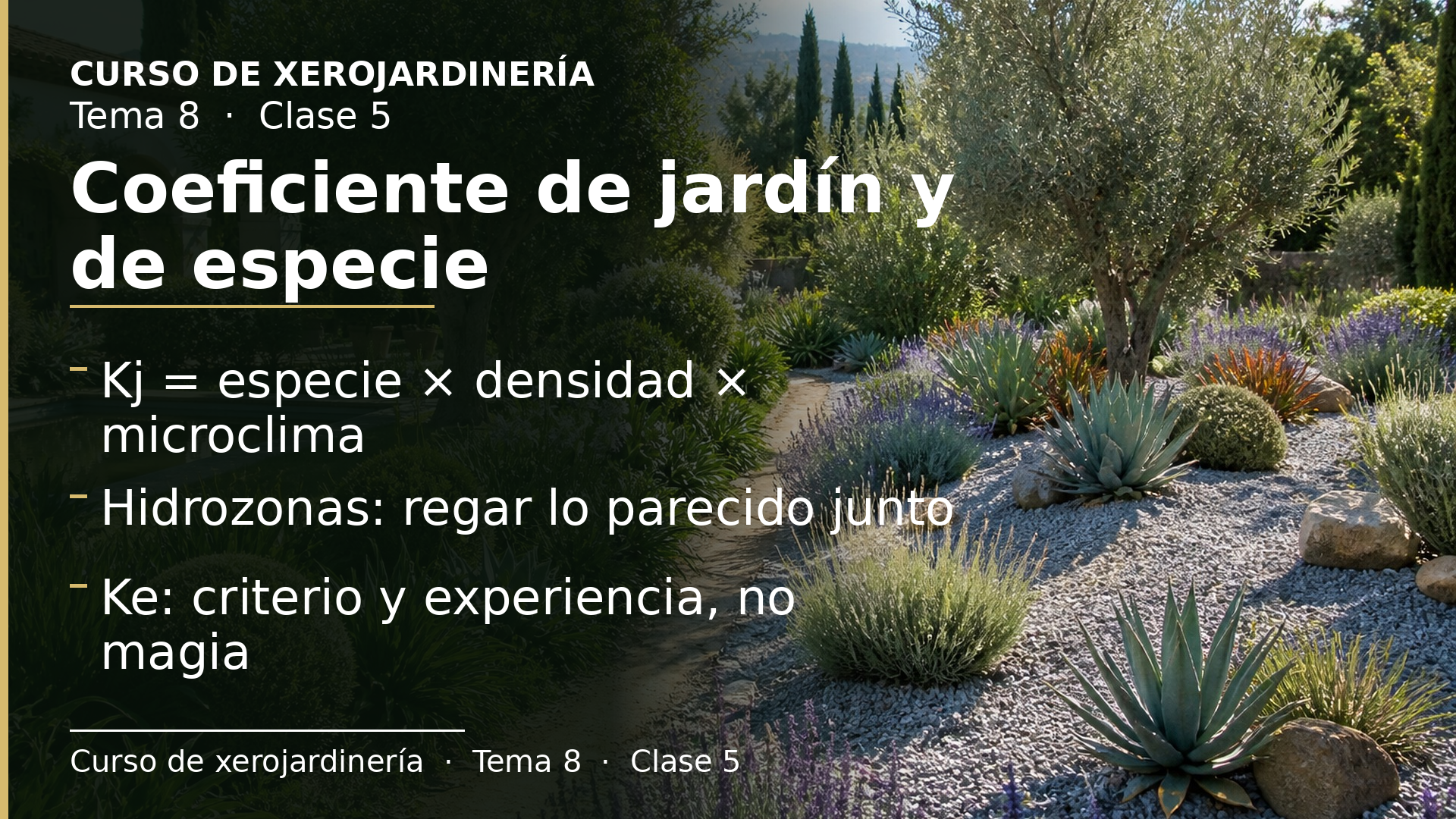 Diapositiva de la clase 5: Coeficiente de jardín y de especie