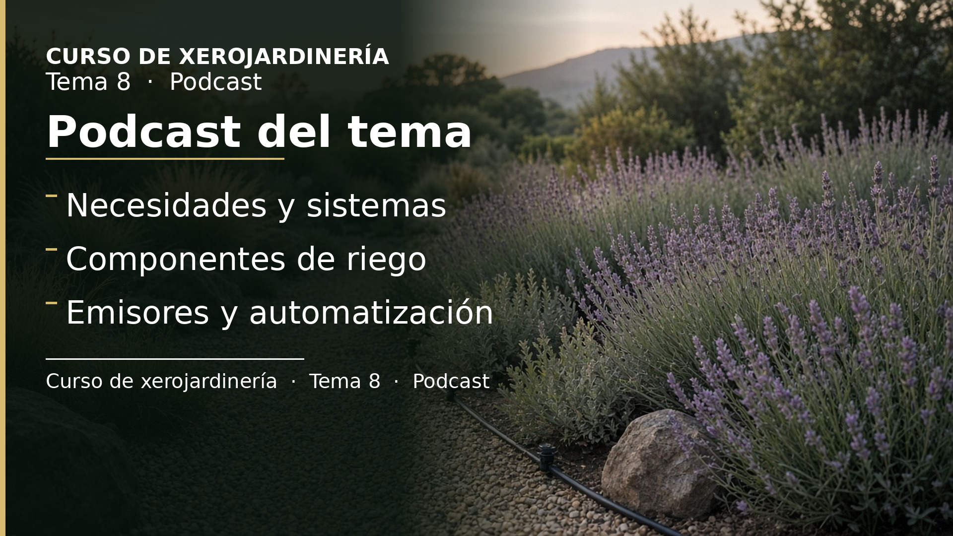 Diapositiva del resumen: Podcast del tema 8 · Riego eficiente