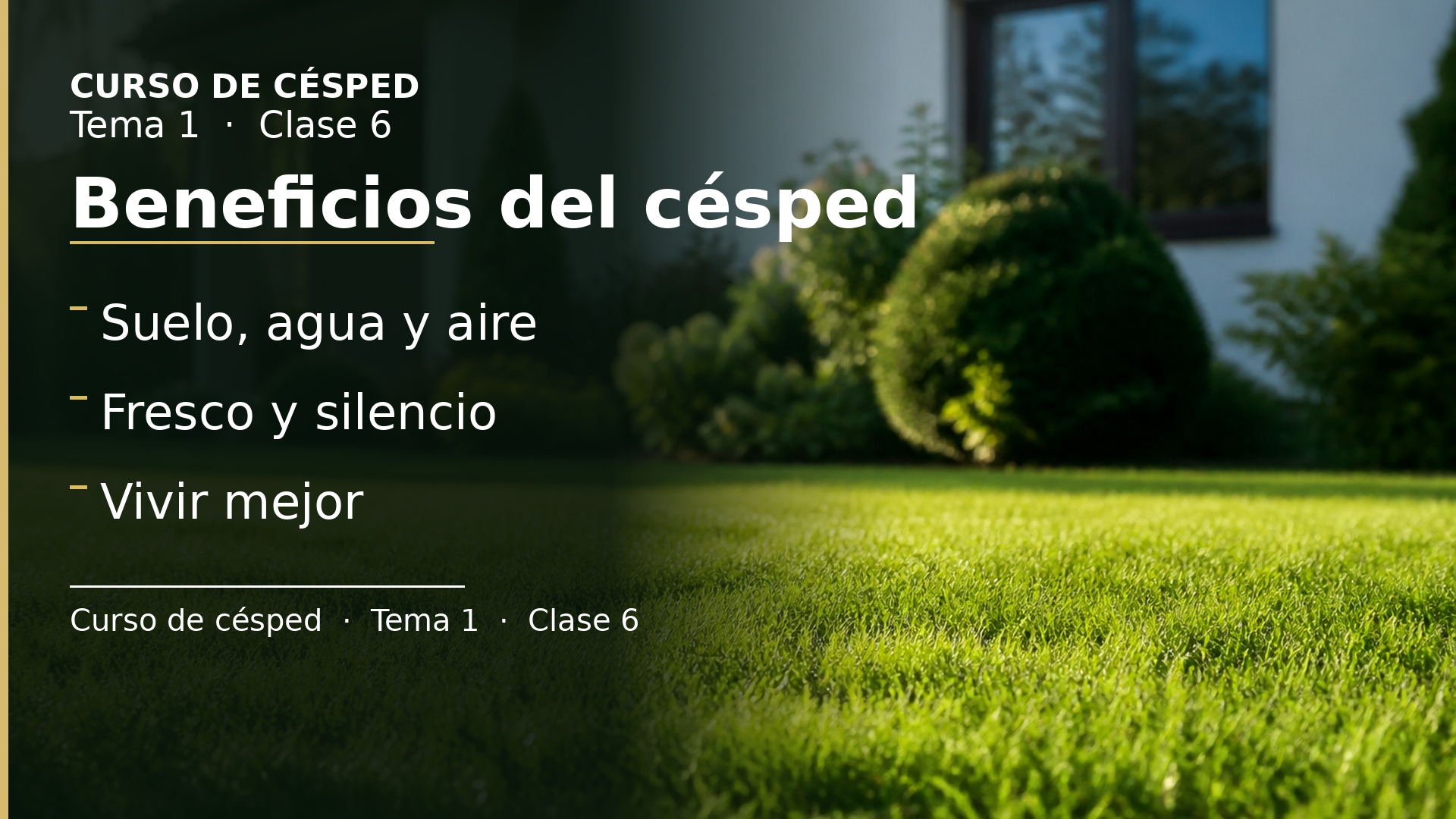 Diapositiva de la clase 6: Beneficios del césped