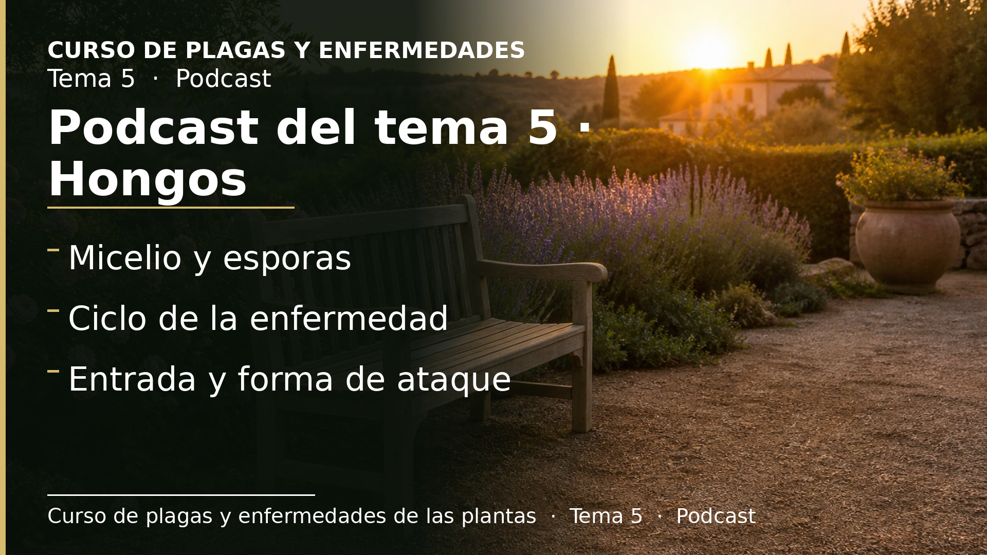 Diapositiva del resumen: Podcast del tema 5 · Hongos