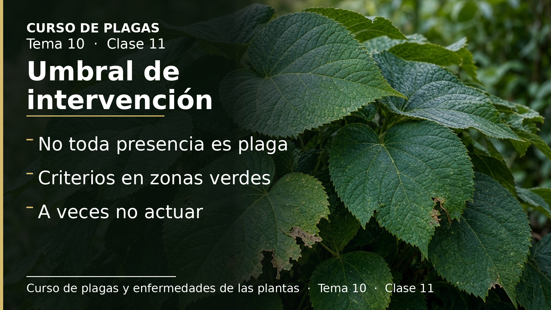 Diapositiva de la clase 11: Umbral de intervención