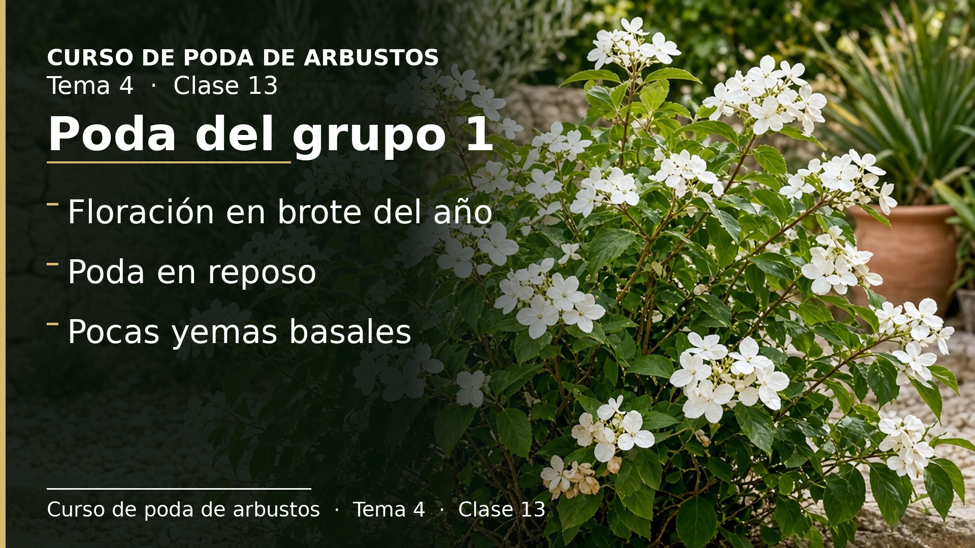 Diapositiva de la clase 13: Poda grupo 1