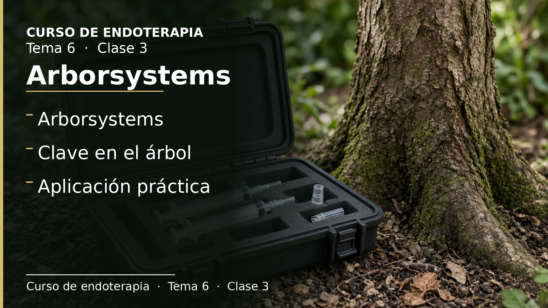 Diapositiva de la clase 3: Arborsystems