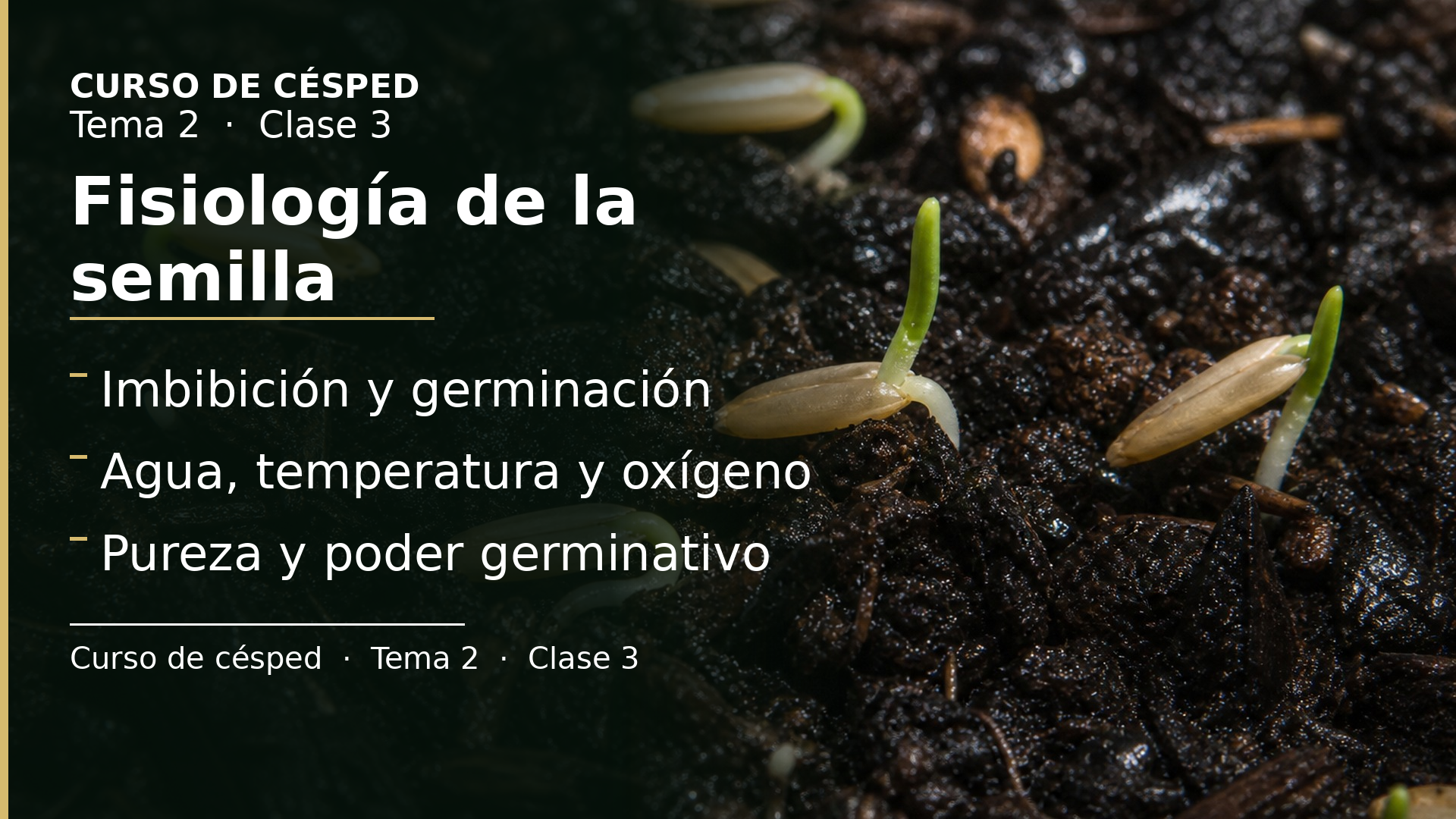 Diapositiva de la clase 3: Fisiología de la semilla