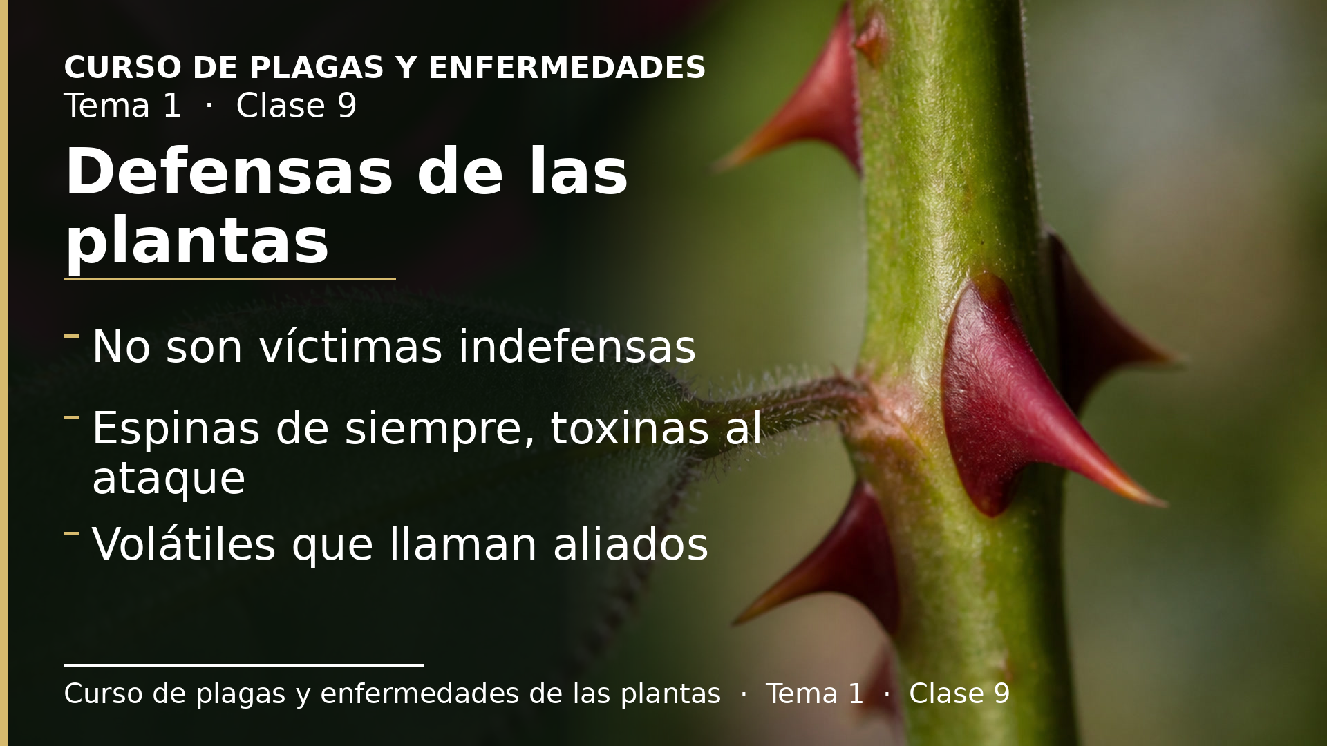 Diapositiva de la clase 9: Defensas de las plantas