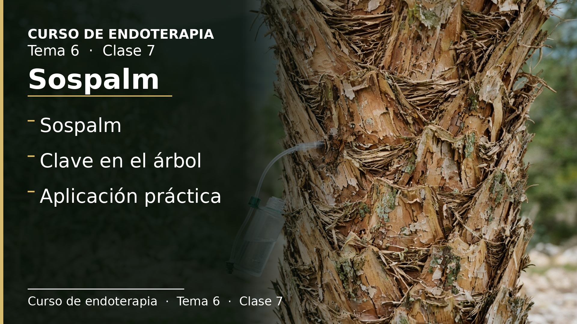 Diapositiva de la clase 7: Sospalm