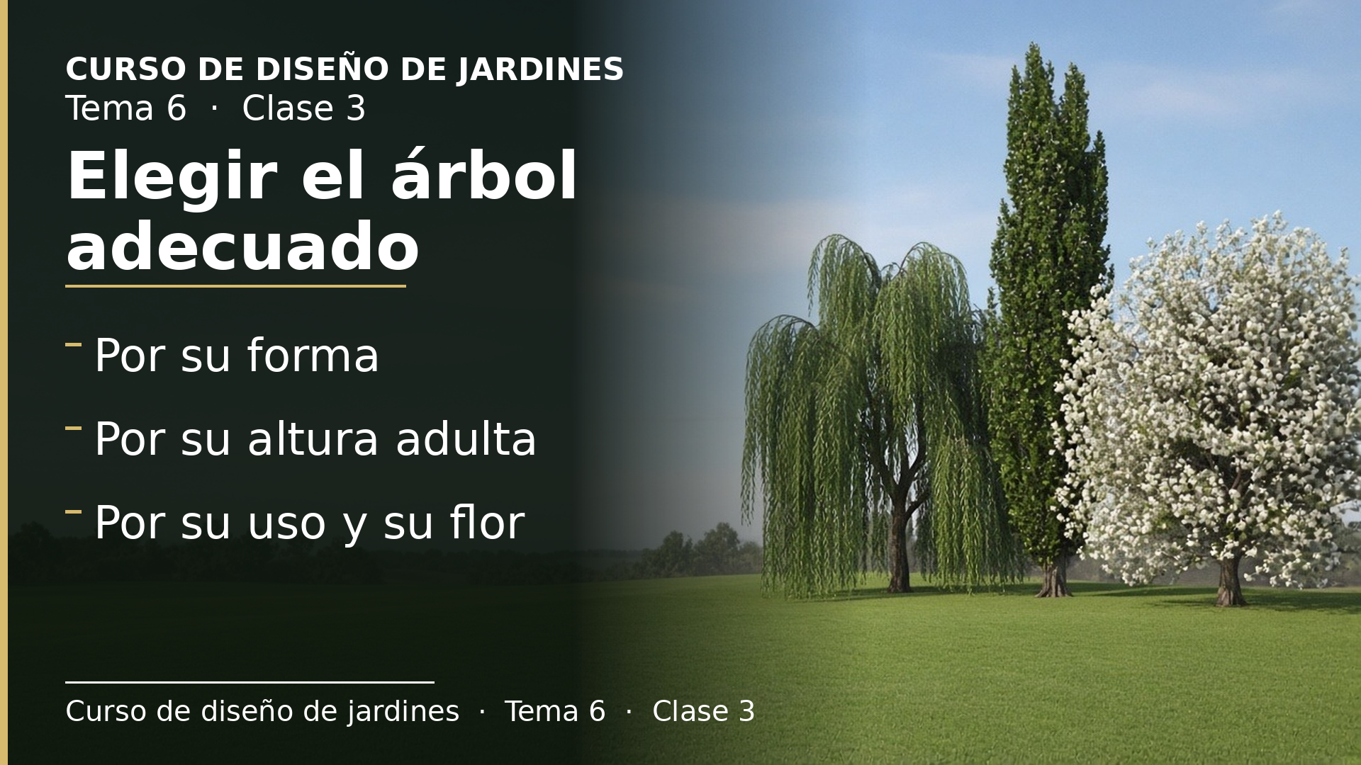 Diapositiva de la clase 3: Elegir el árbol por porte, altura y floración (Listas 01–19)