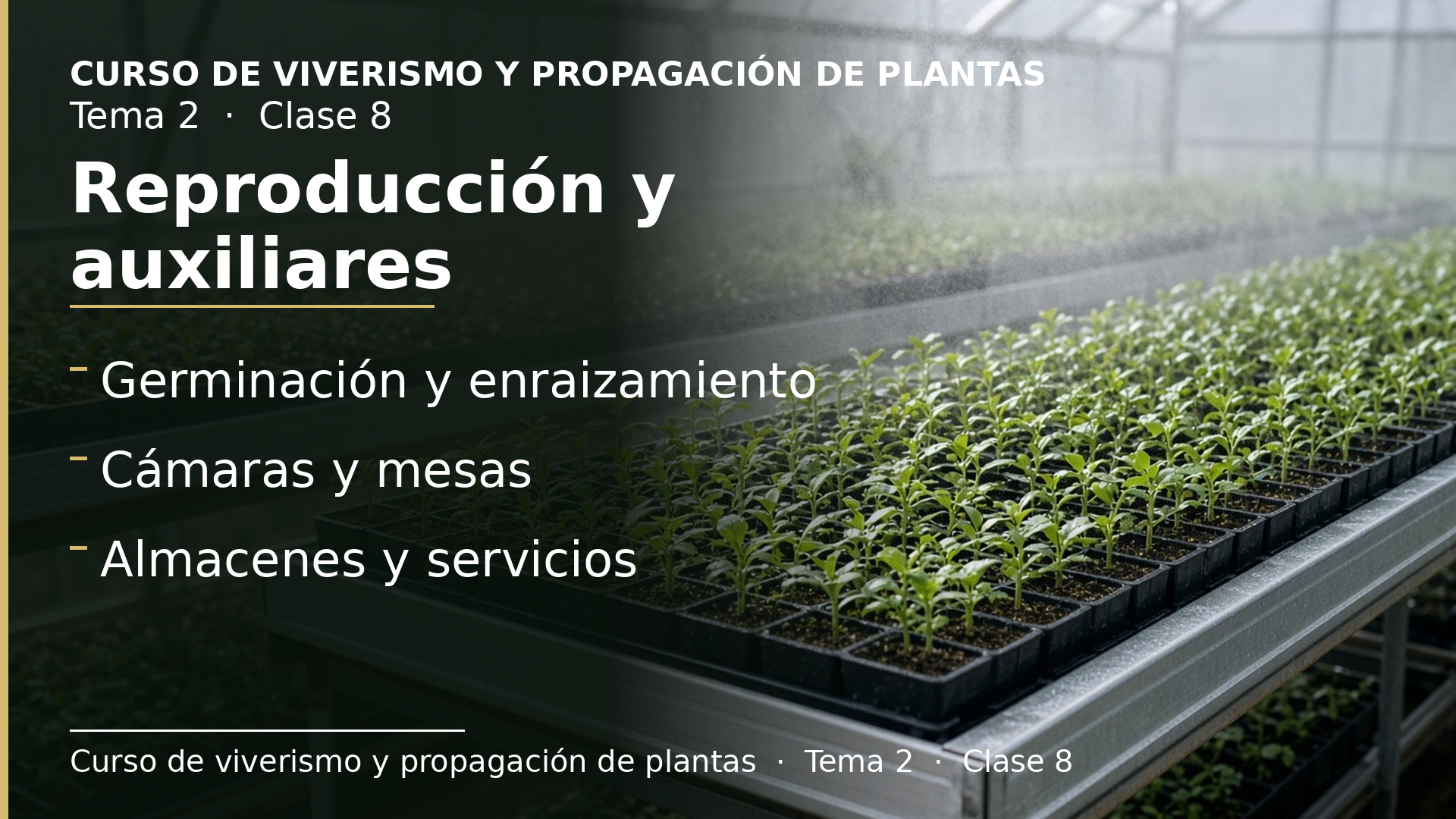 Diapositiva de la clase 8: Instalaciones de reproducción y auxiliares