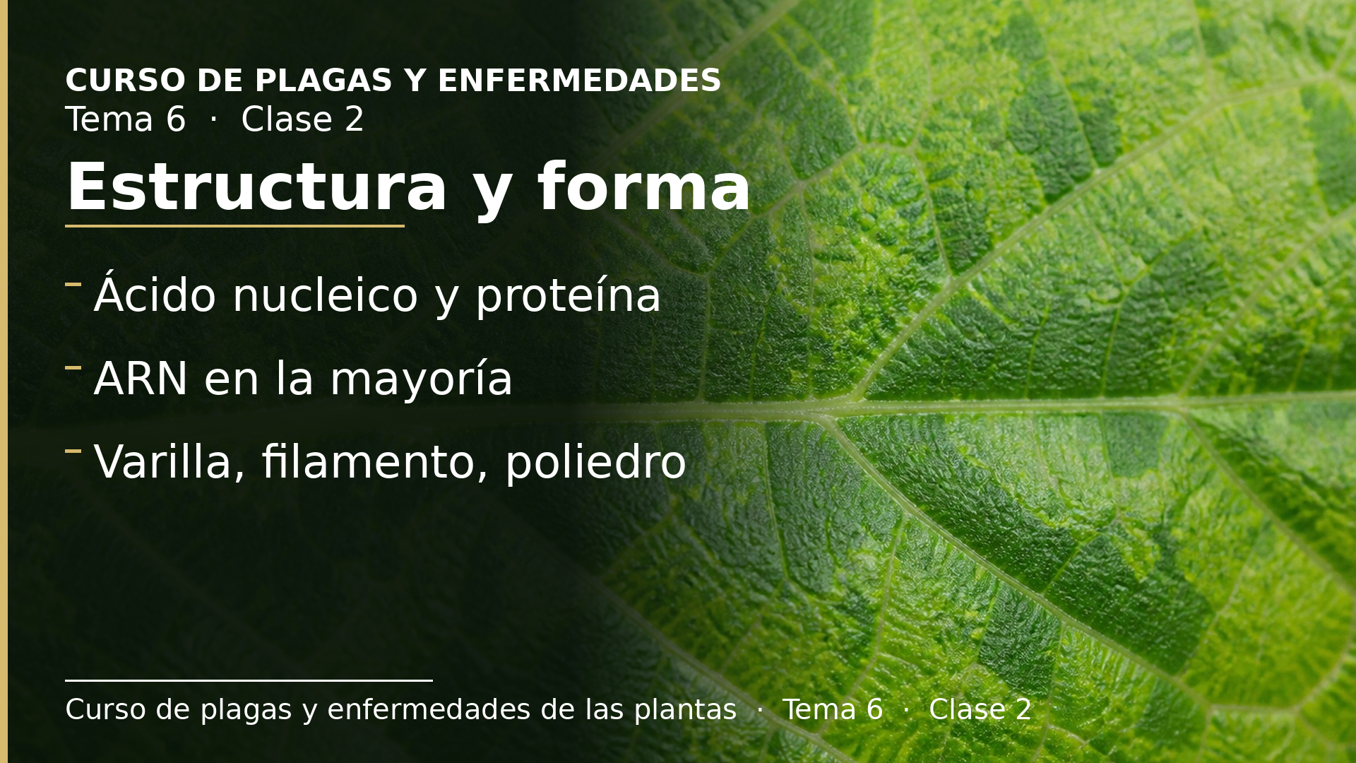 Diapositiva de la clase 2: Composición, estructura y morfología