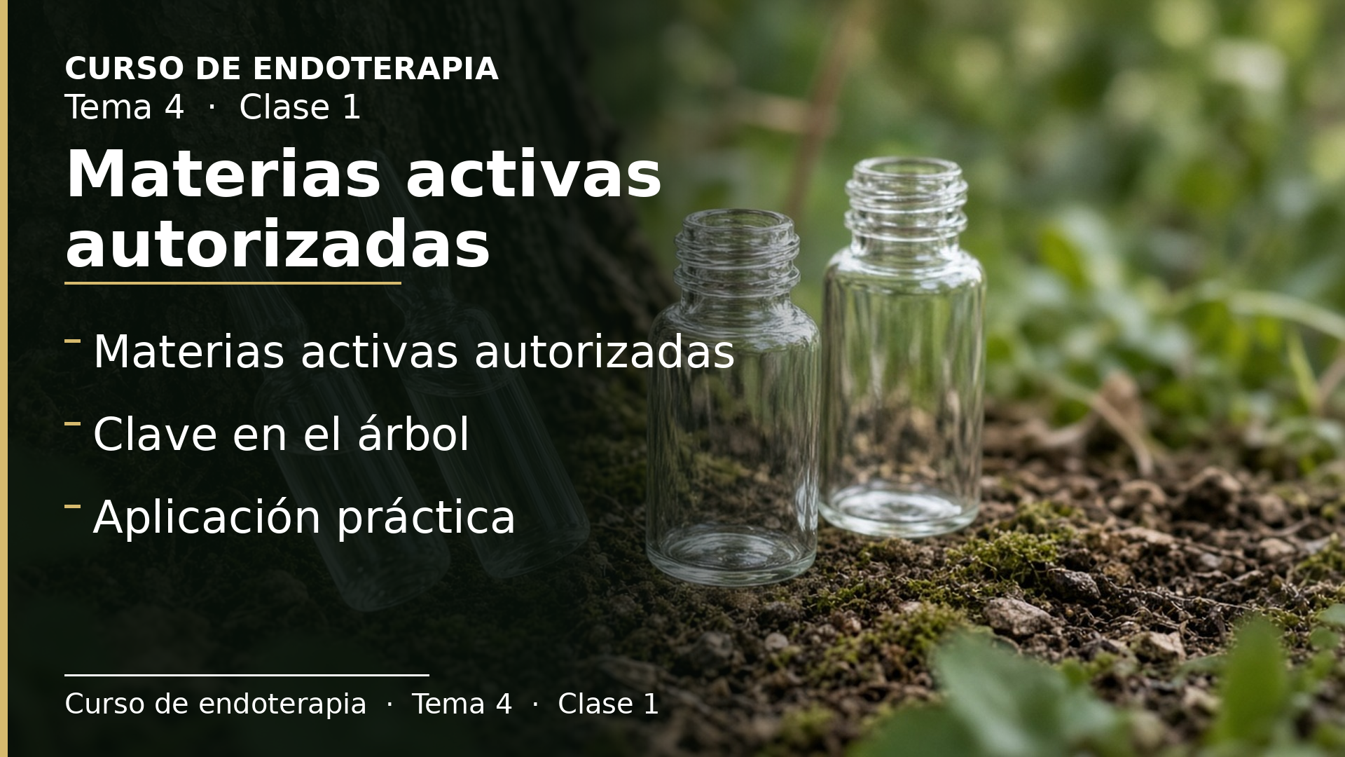 Diapositiva de la clase 1: Materias activas autorizadas