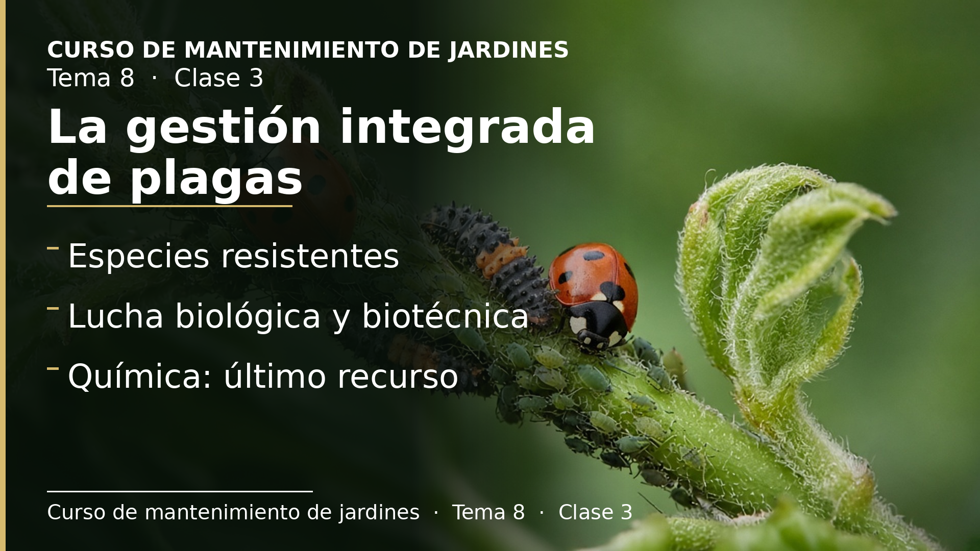 Diapositiva de la clase 3: La gestión integrada de plagas
