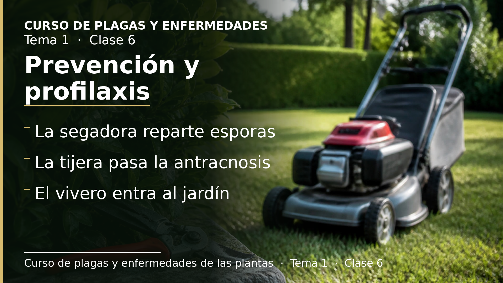 Diapositiva de la clase 6: Prevención y profilaxis