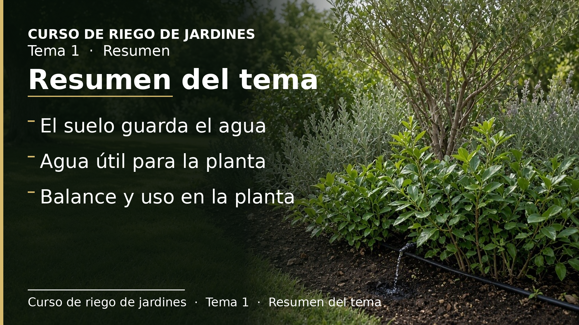 Diapositiva del resumen: Resumen del tema