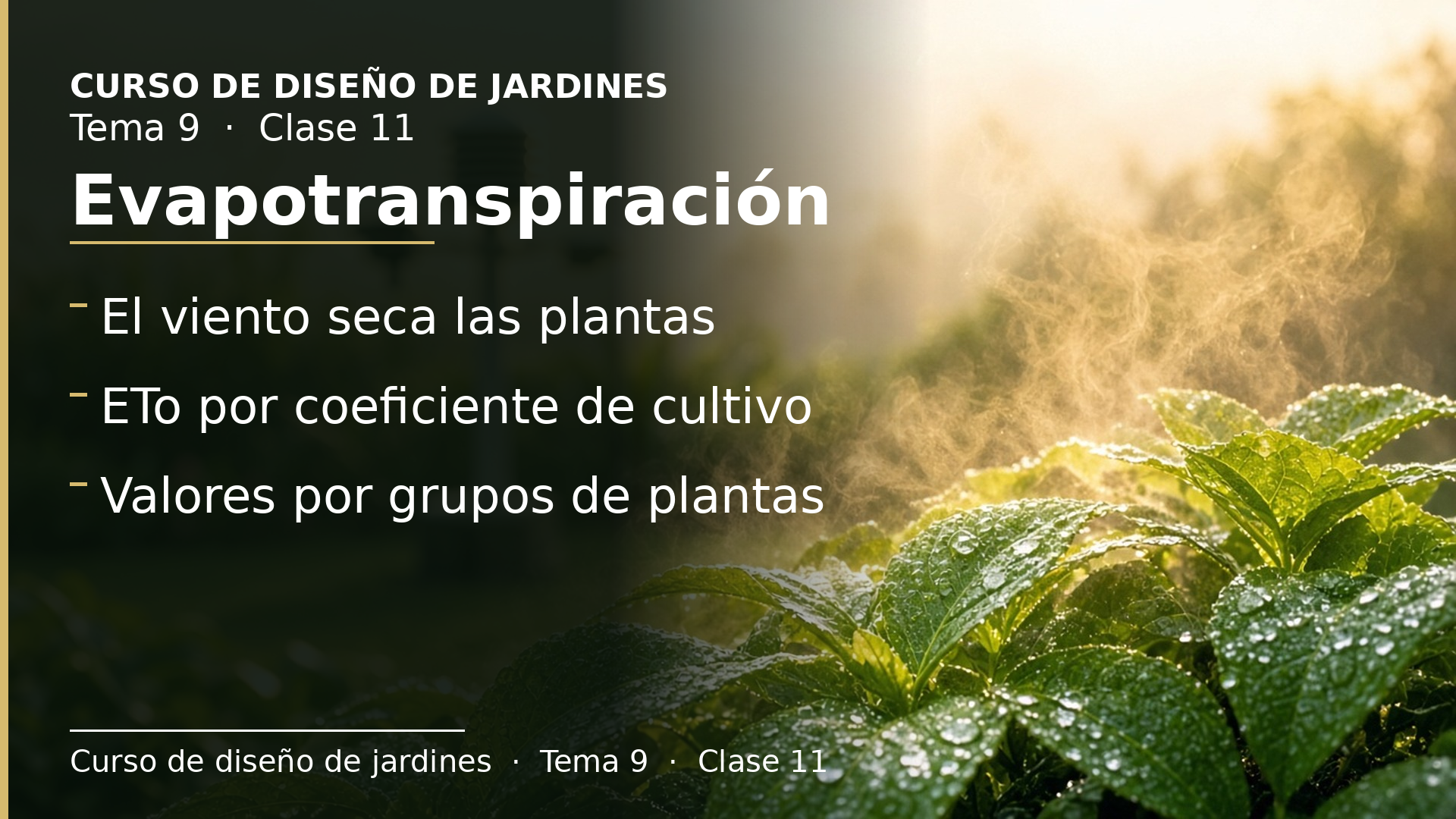 Diapositiva de la clase 11: Evapotranspiración: cuánta agua pide el jardín