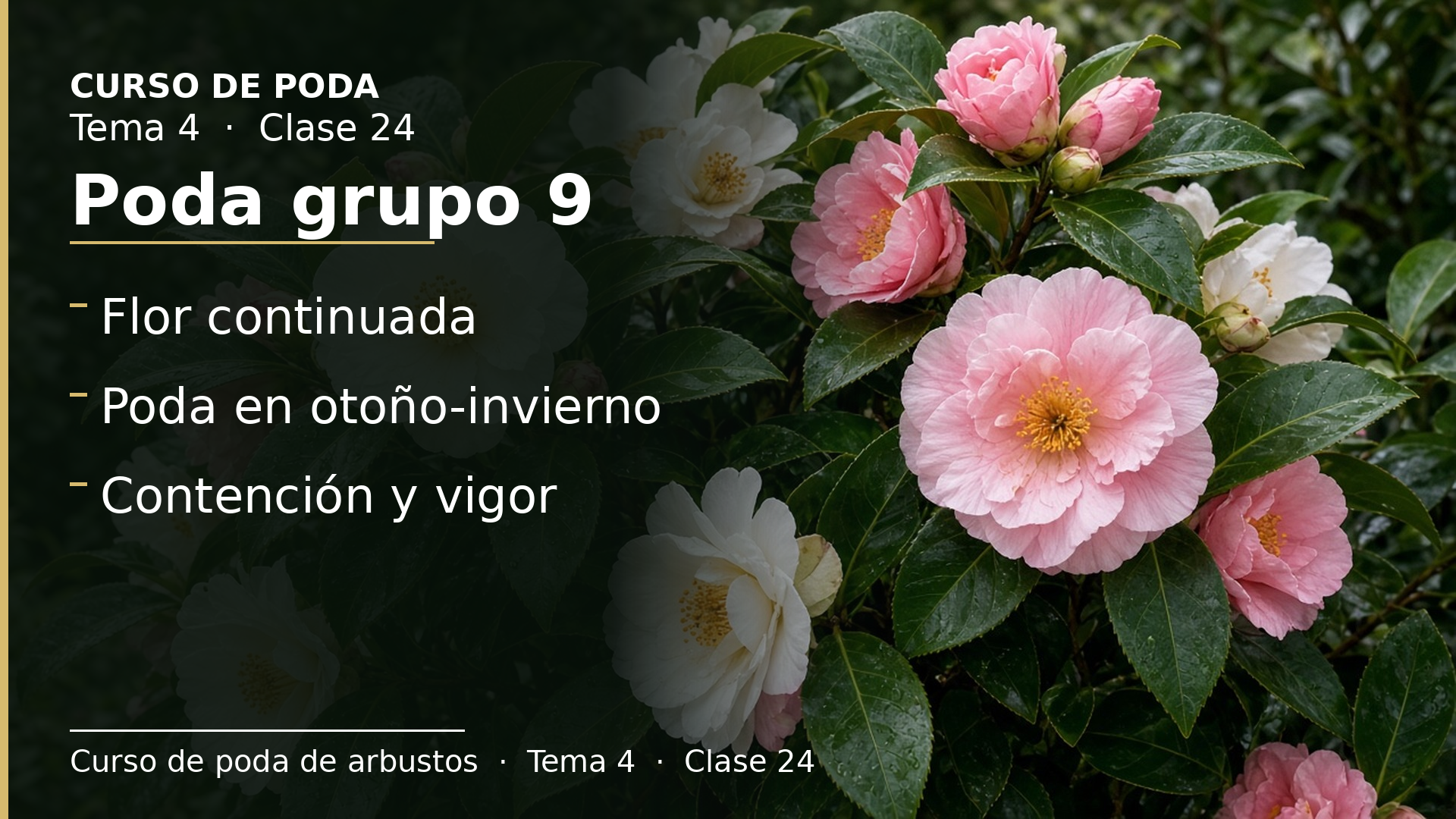 Diapositiva de la clase 24: Poda grupo 9 · perennifolios de flor