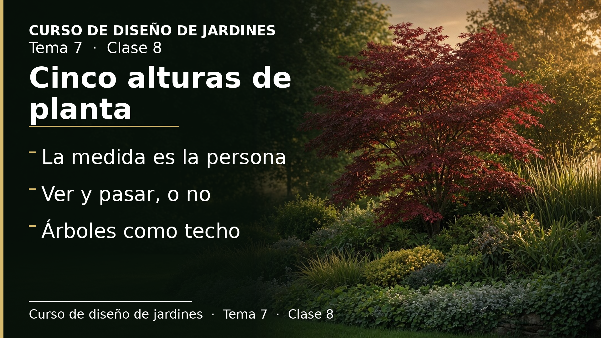 Diapositiva de la clase 8: Puntos focales y niveles de altura de las plantas